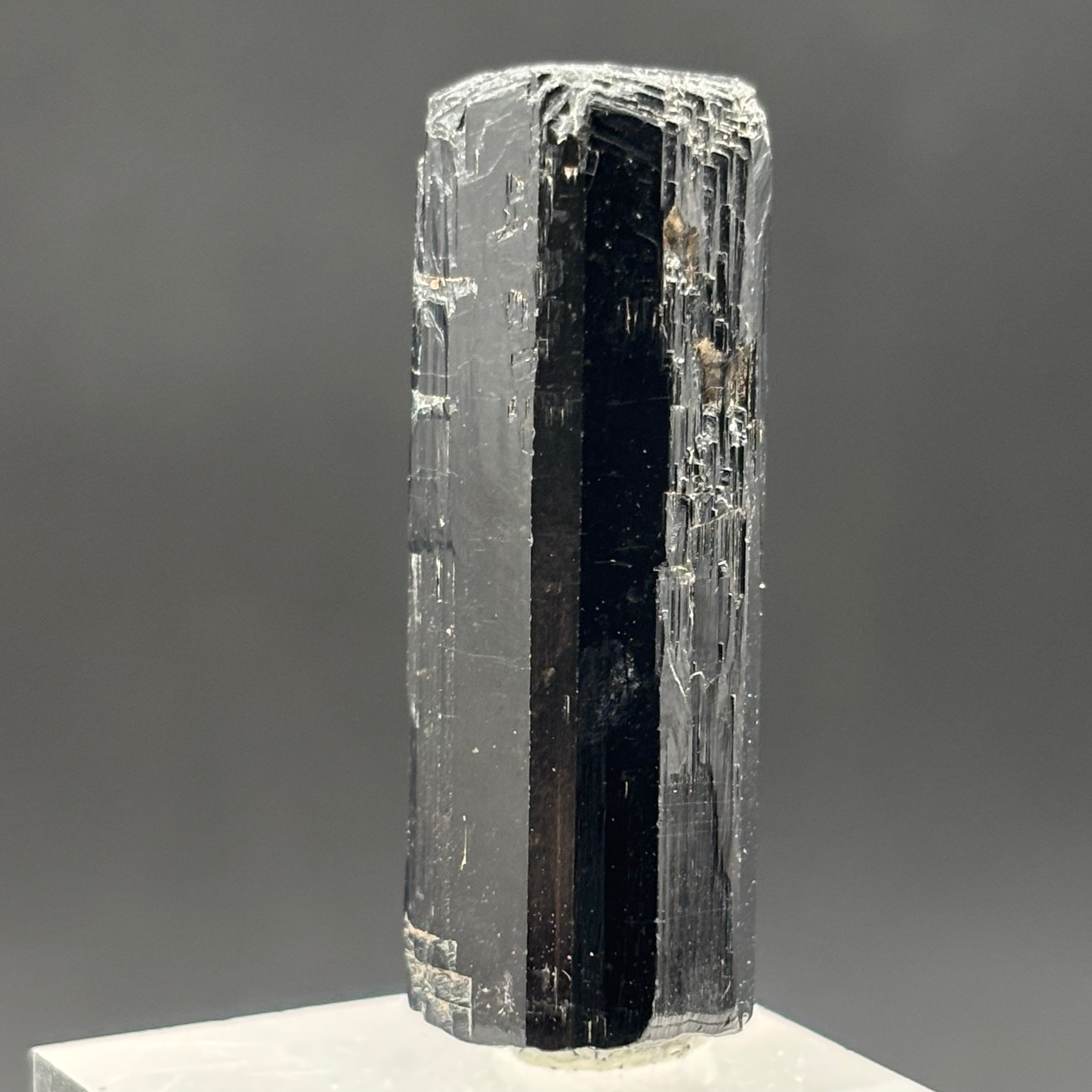 Black Tourmaline, Erongo Mountain - 231