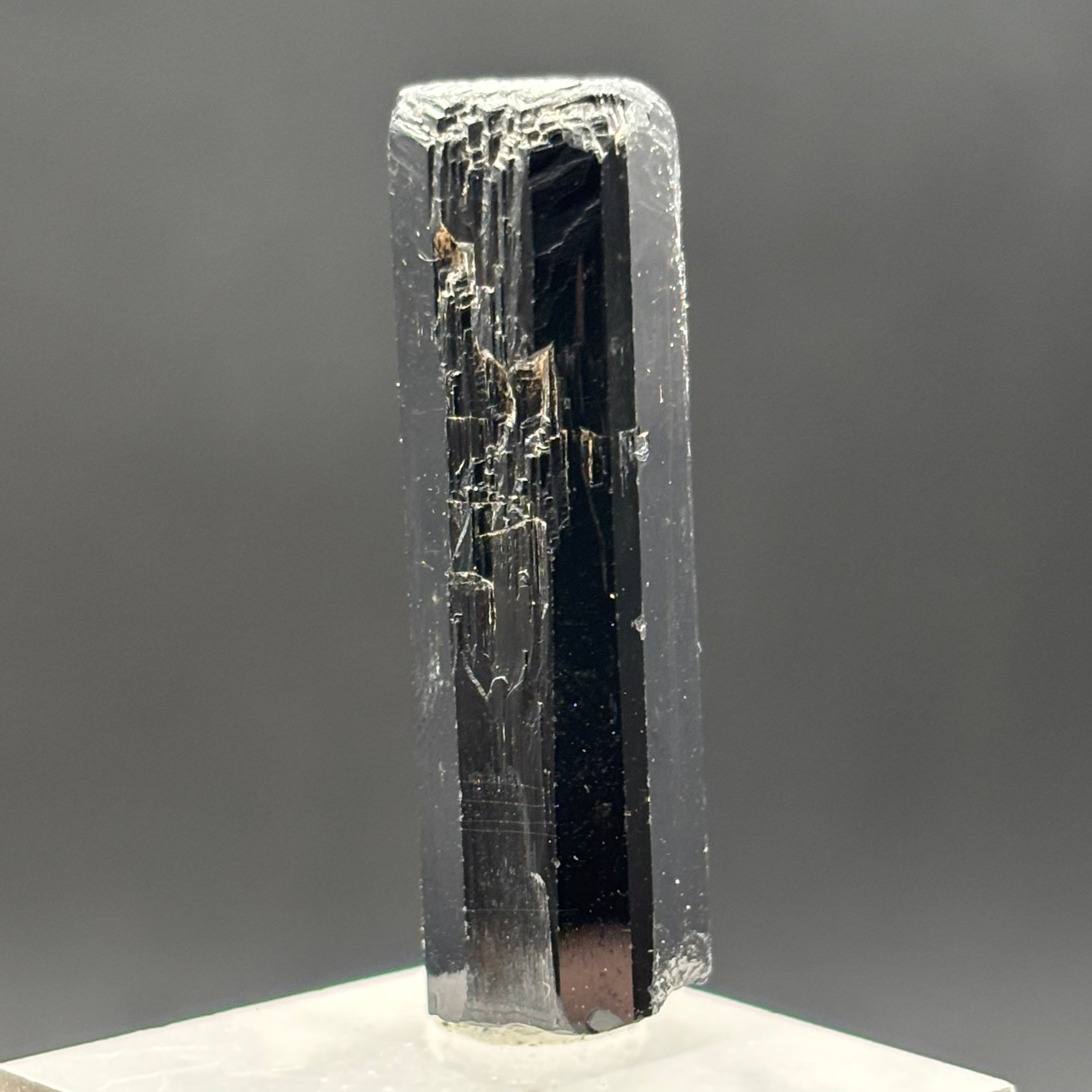 Black Tourmaline, Erongo Mountain - 231