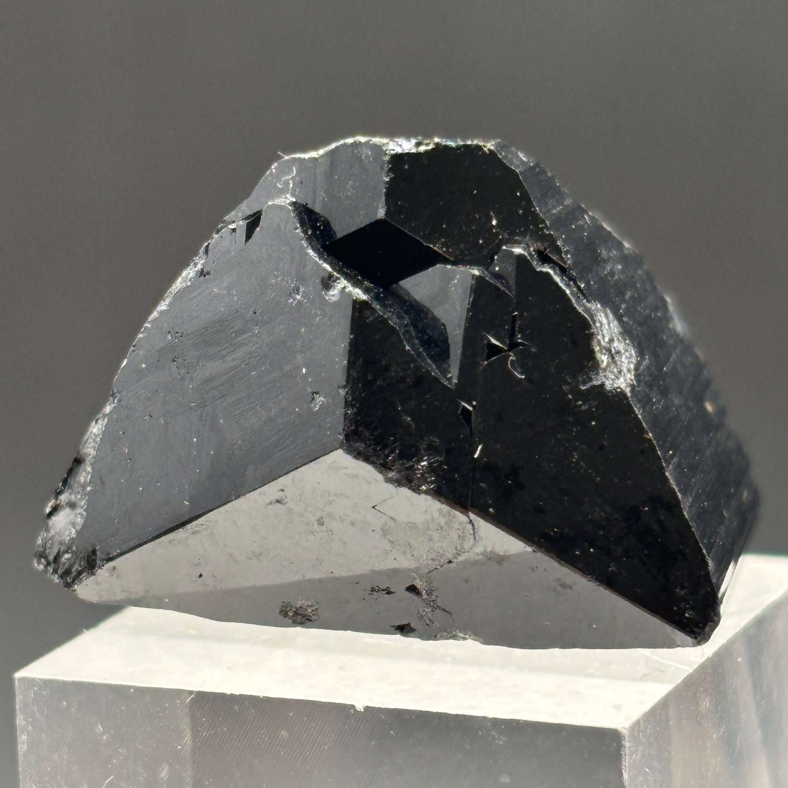 Black Tourmaline, Erongo Mountain - 232