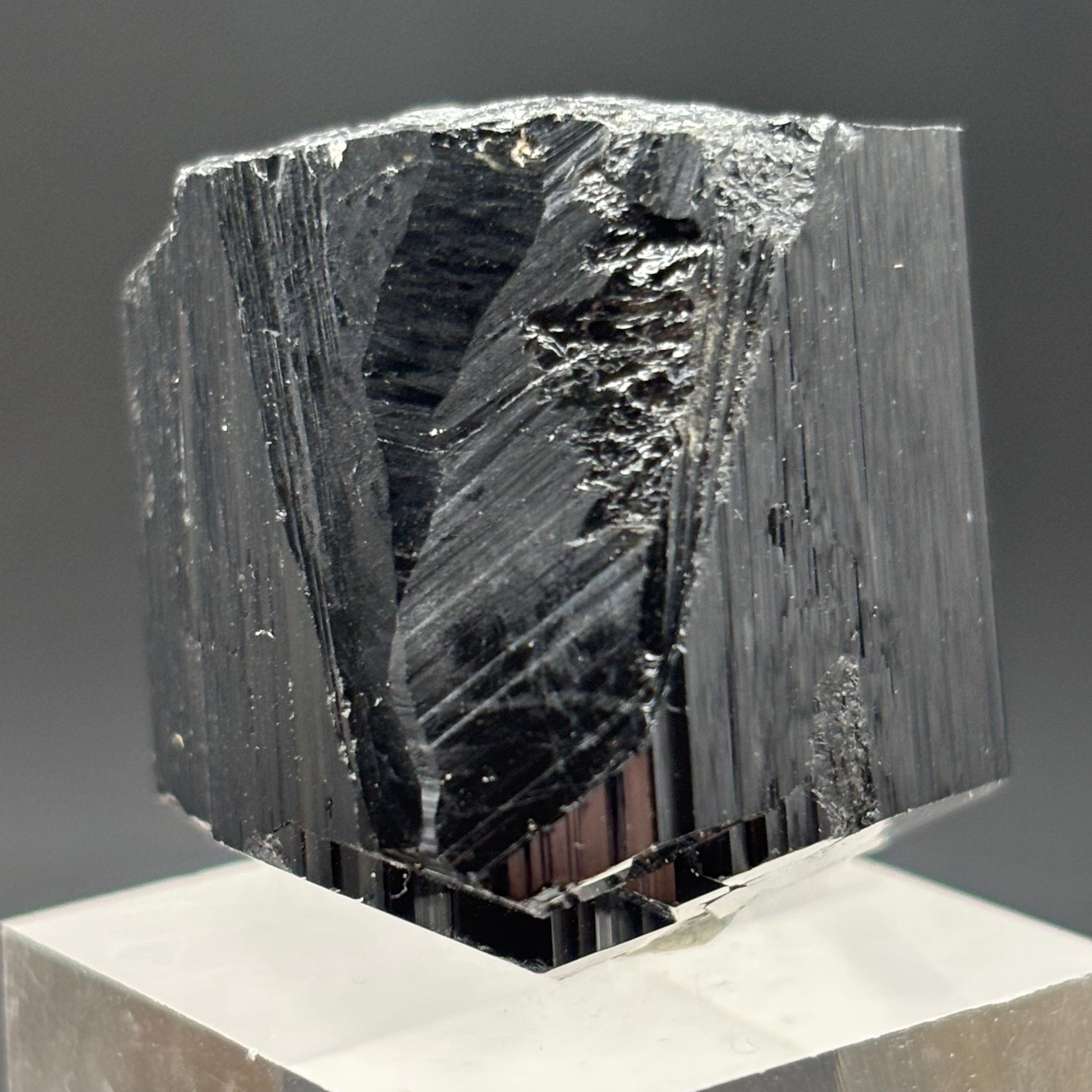Black Tourmaline, Erongo Mountain - 232