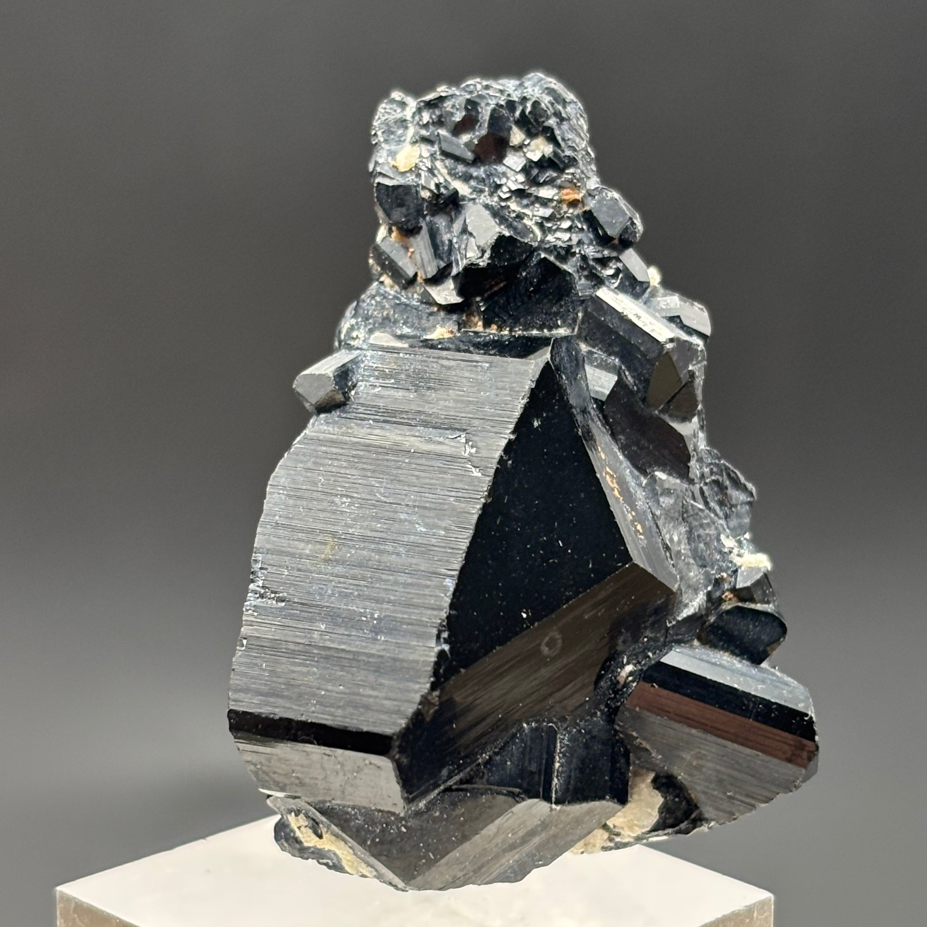 Black Tourmaline, Erongo Mountain - 233