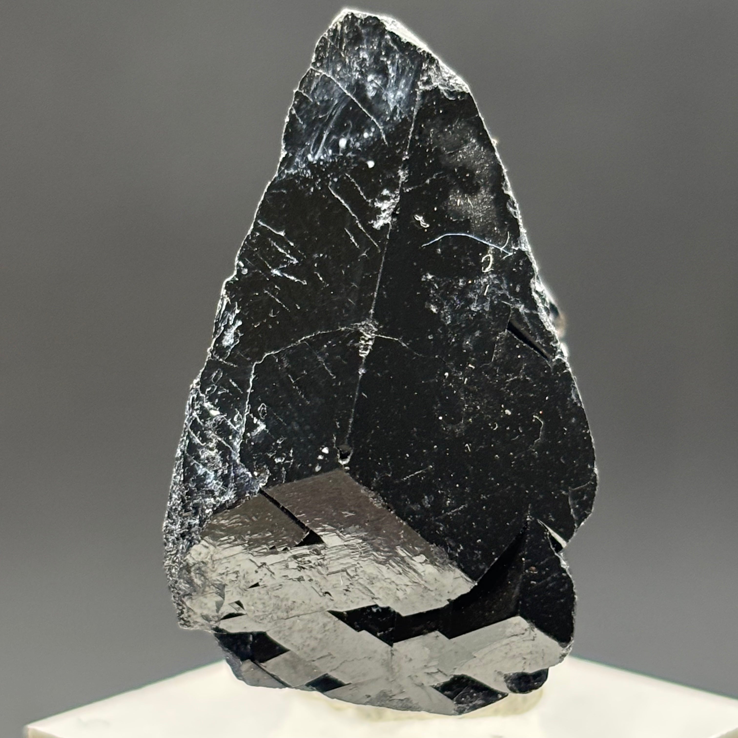 Black Tourmaline, Erongo Mountain - 239