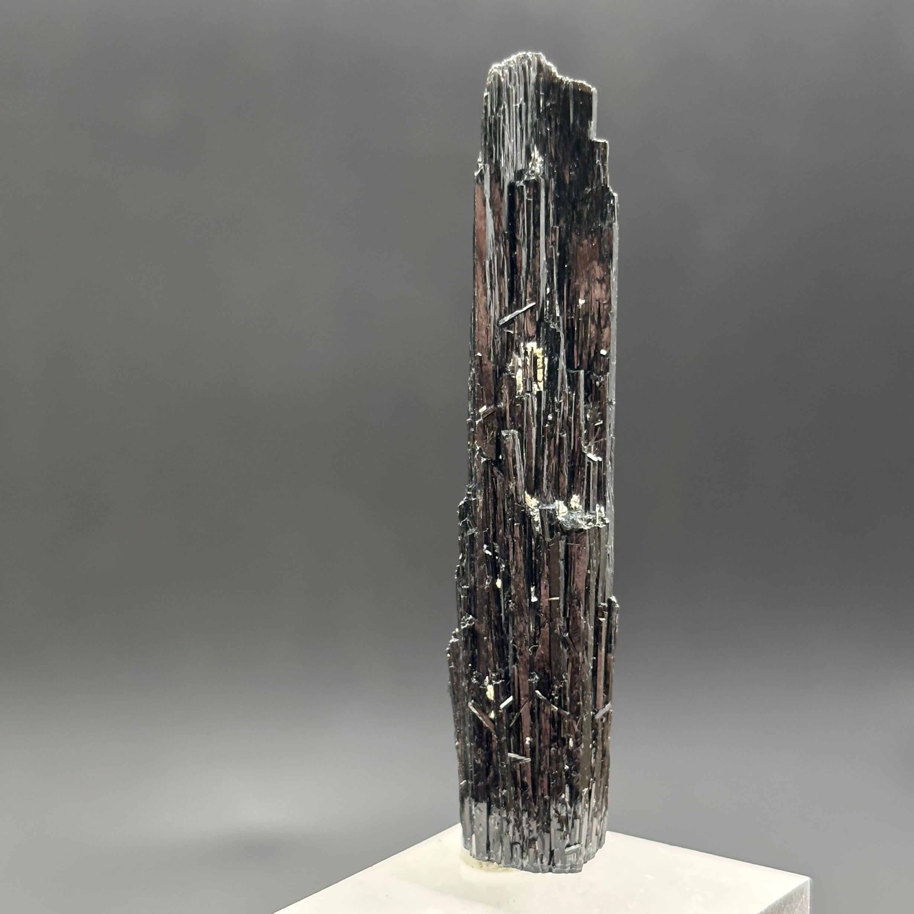 Black Tourmaline, Erongo Mountain - 242