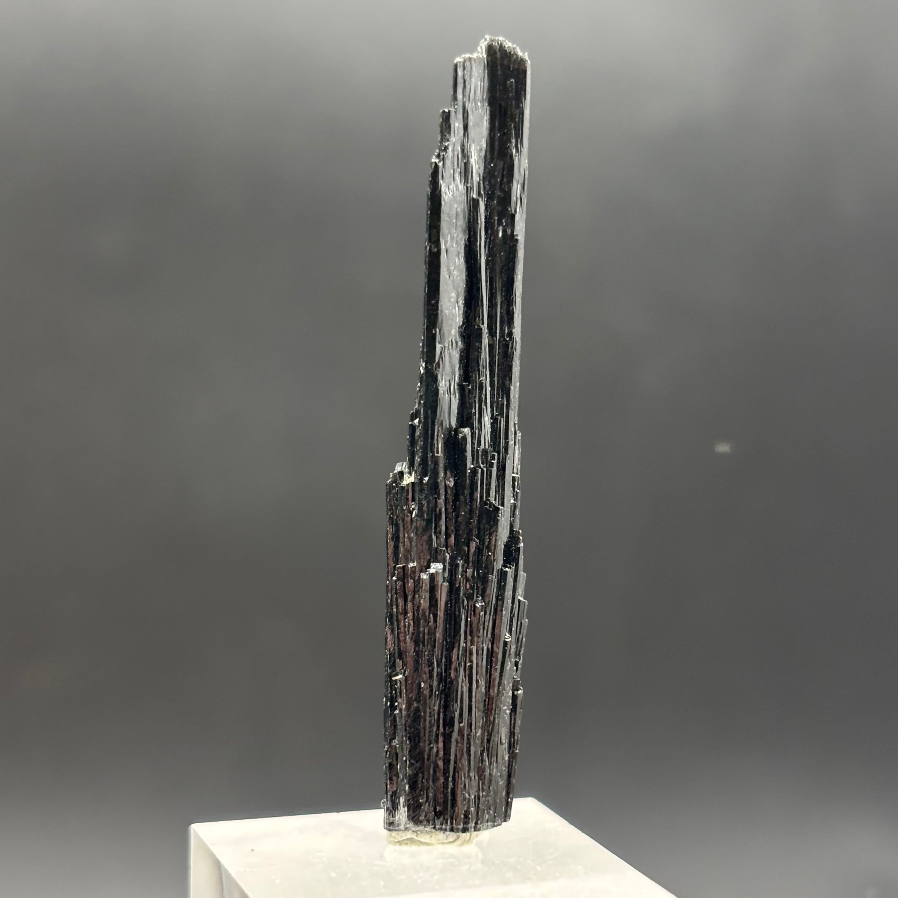 Black Tourmaline, Erongo Mountain - 242