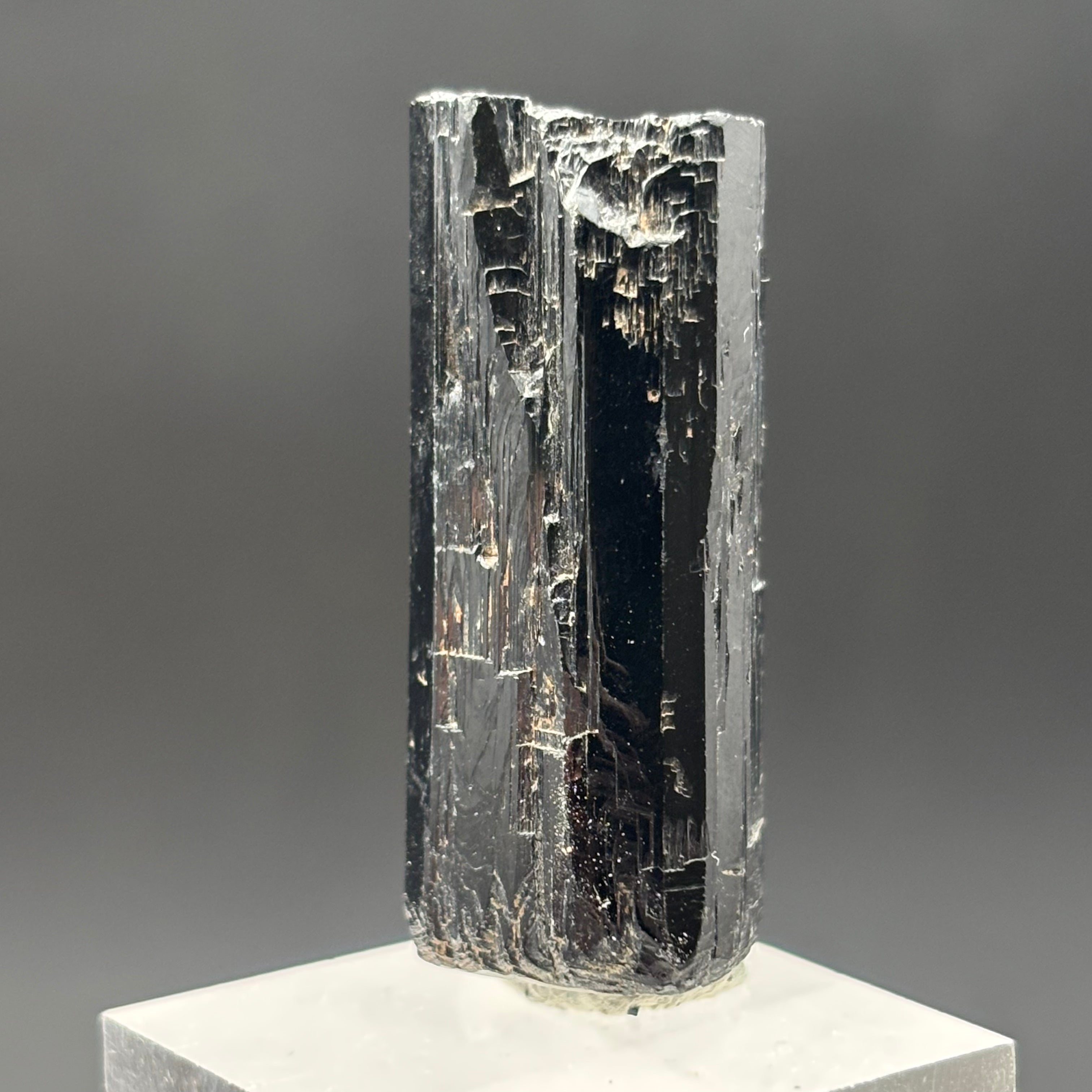 Black Tourmaline, Erongo Mountain - 245