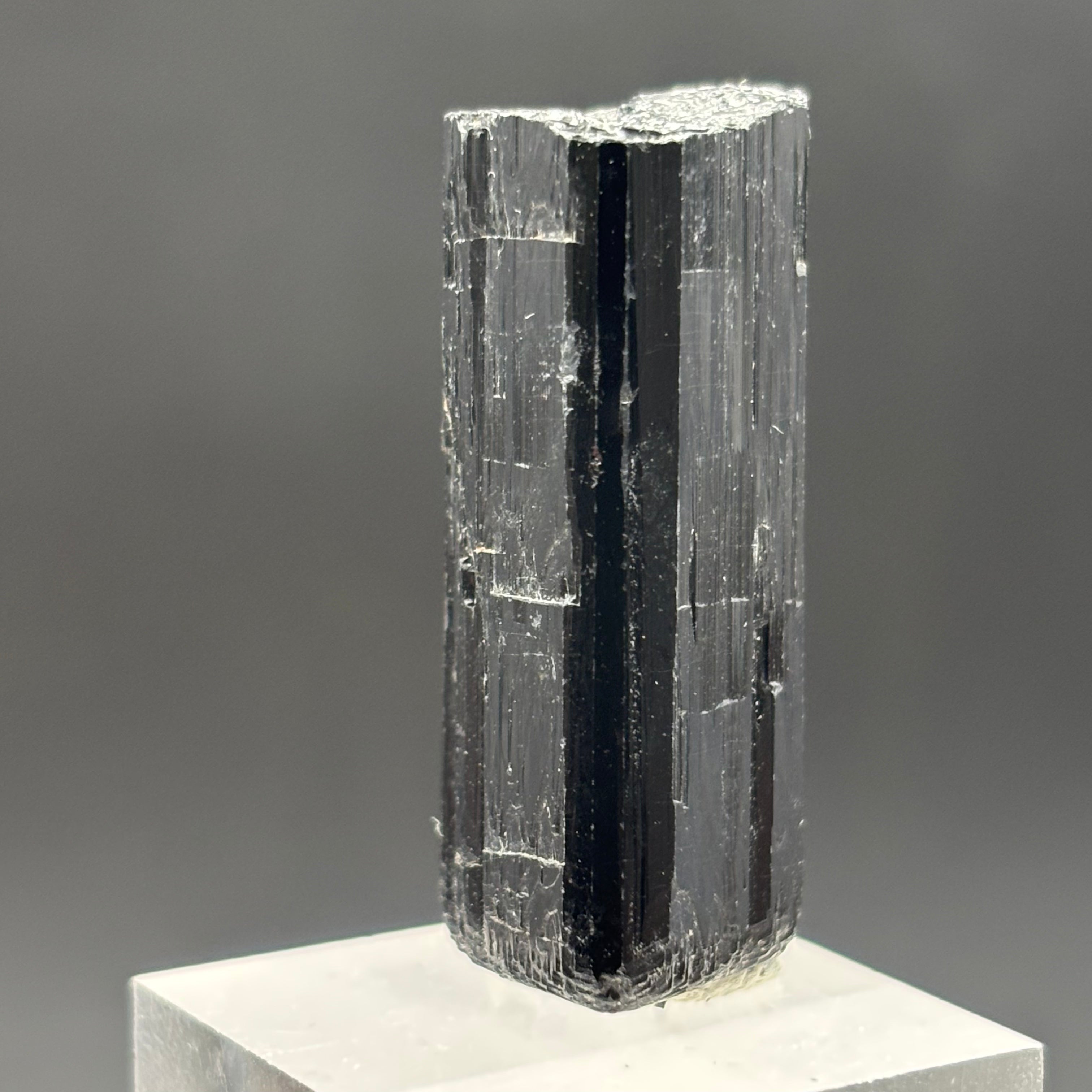 Black Tourmaline, Erongo Mountain - 245