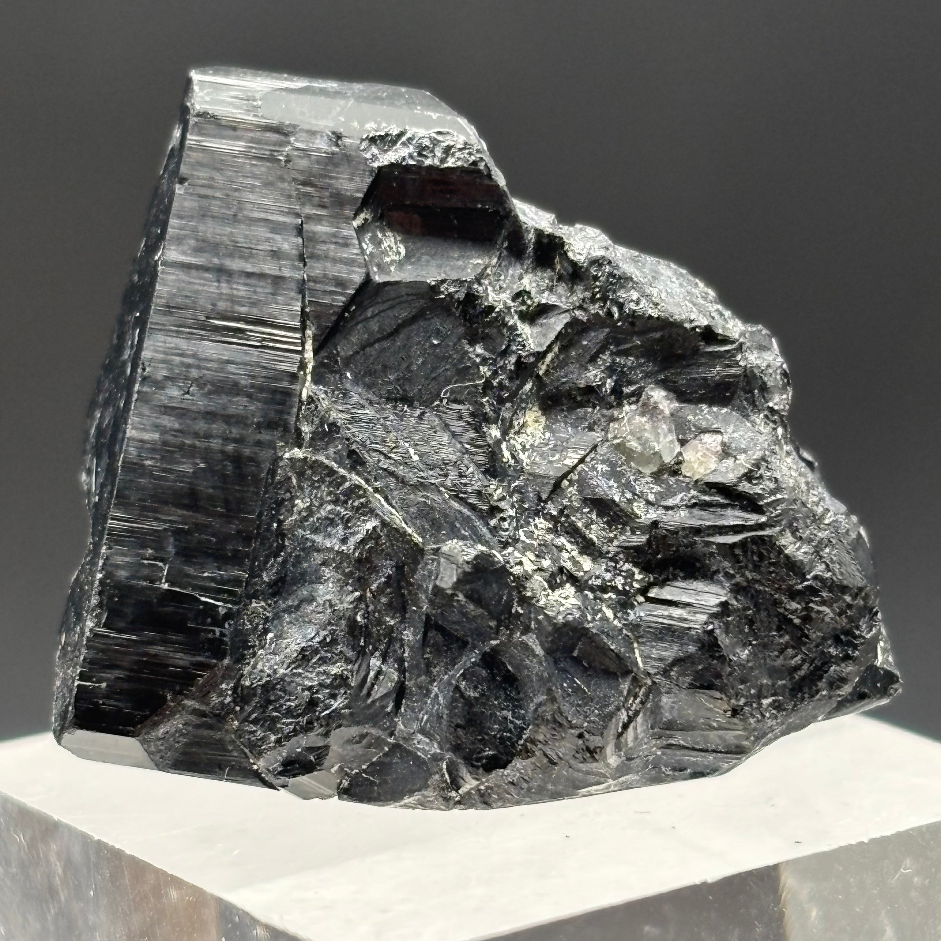 Black Tourmaline, Erongo Mountain - 246