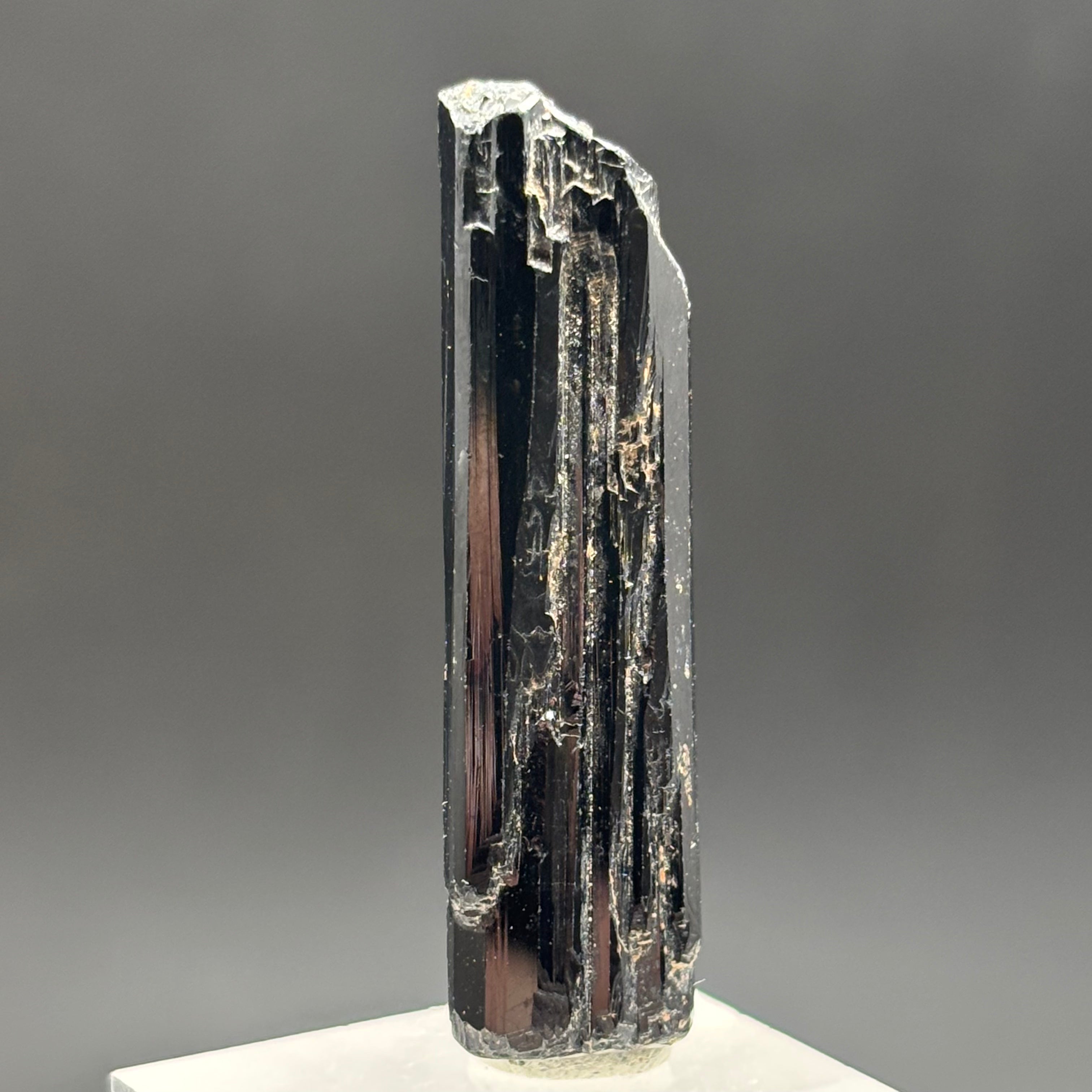 Black Tourmaline, Erongo Mountain - 247