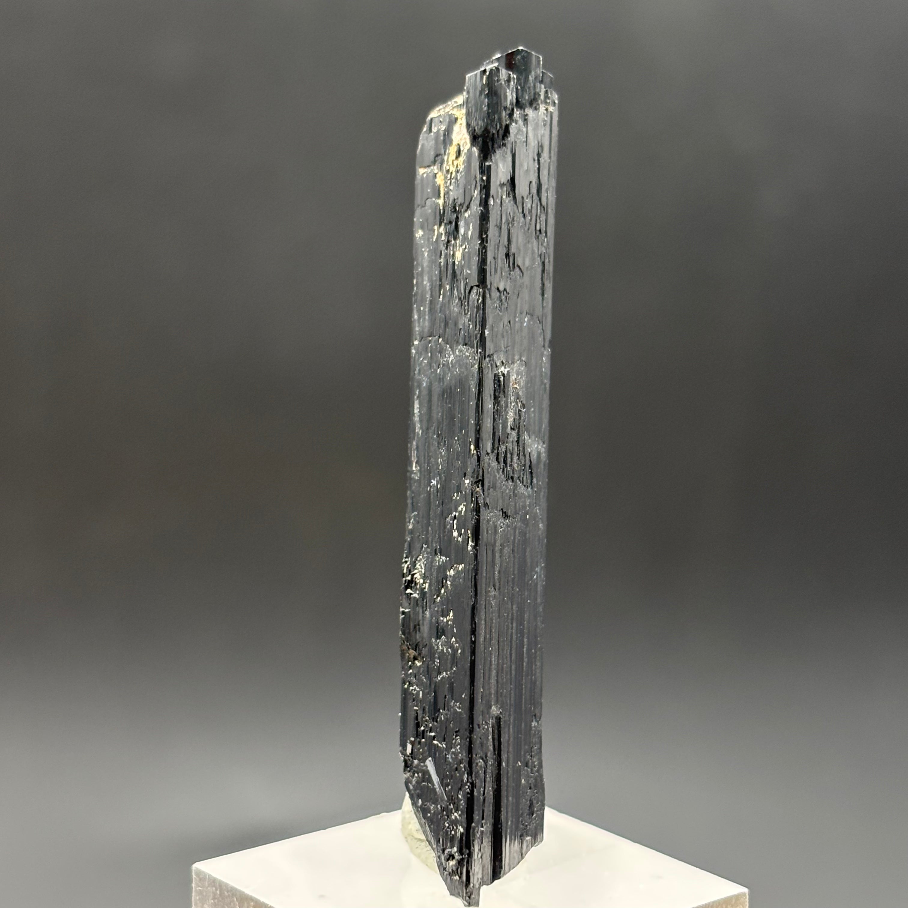 Black Tourmaline, Erongo Mountain - 248