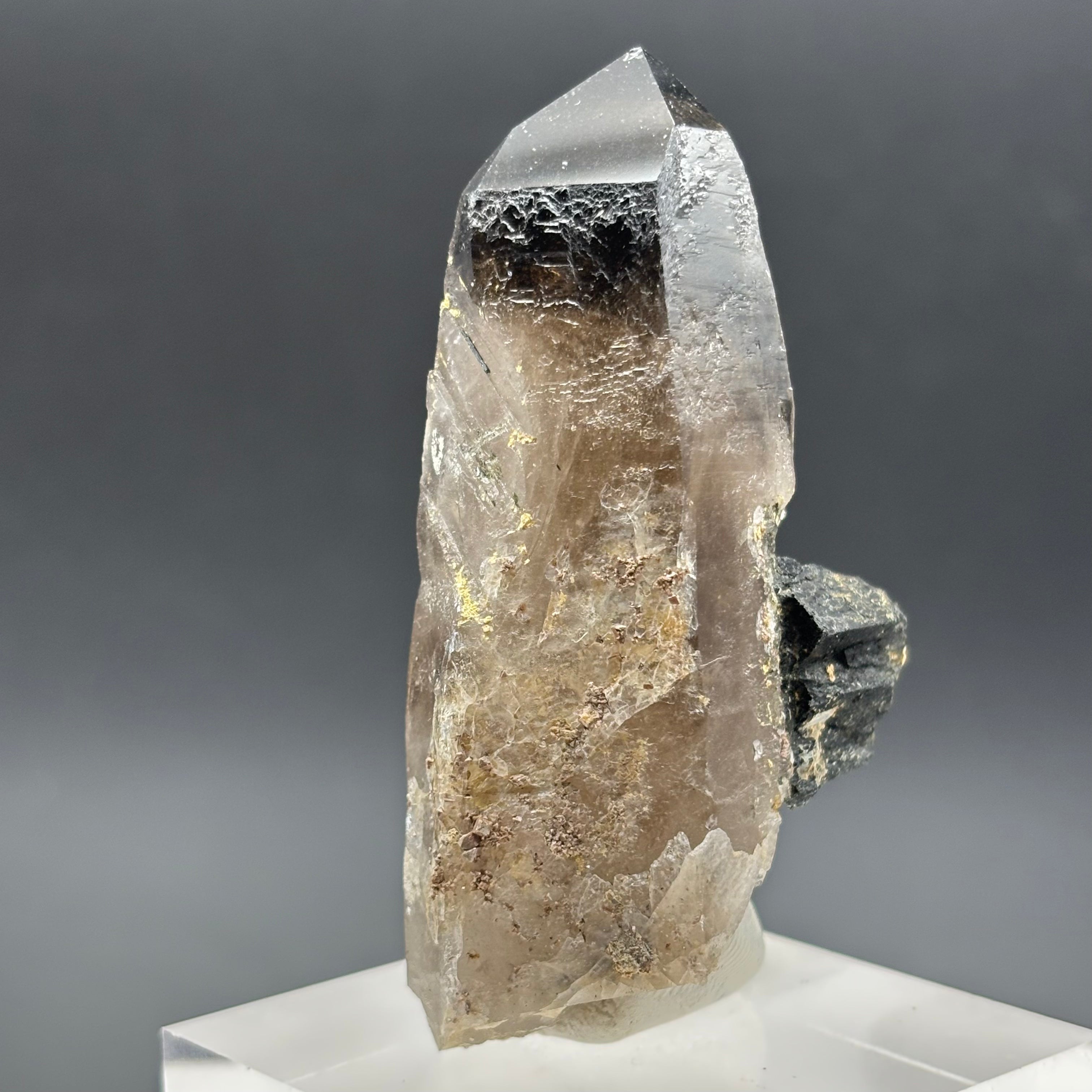 Dark Smoky Quartz Crystal - 003