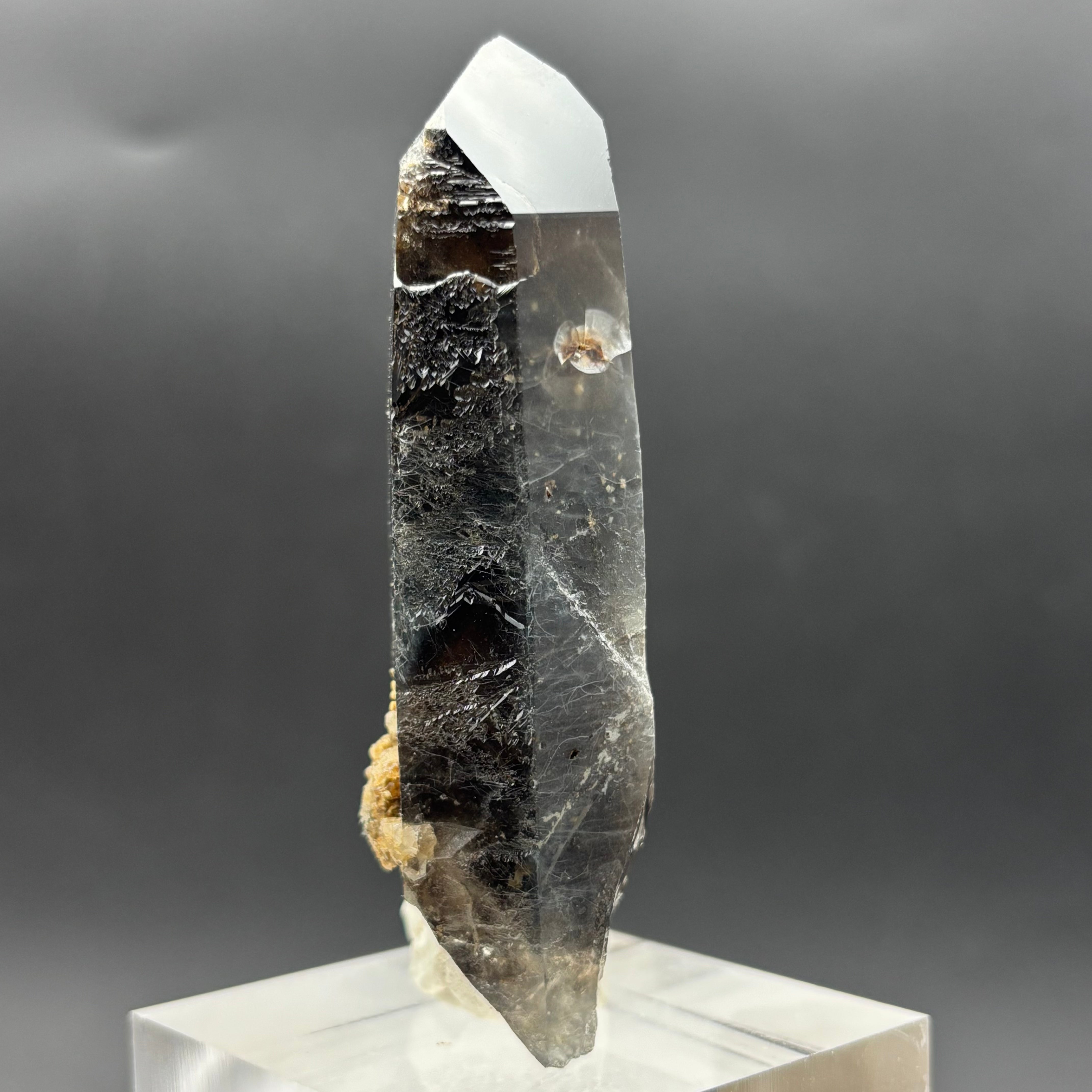 Dark Smoky Quartz Crystal - 007