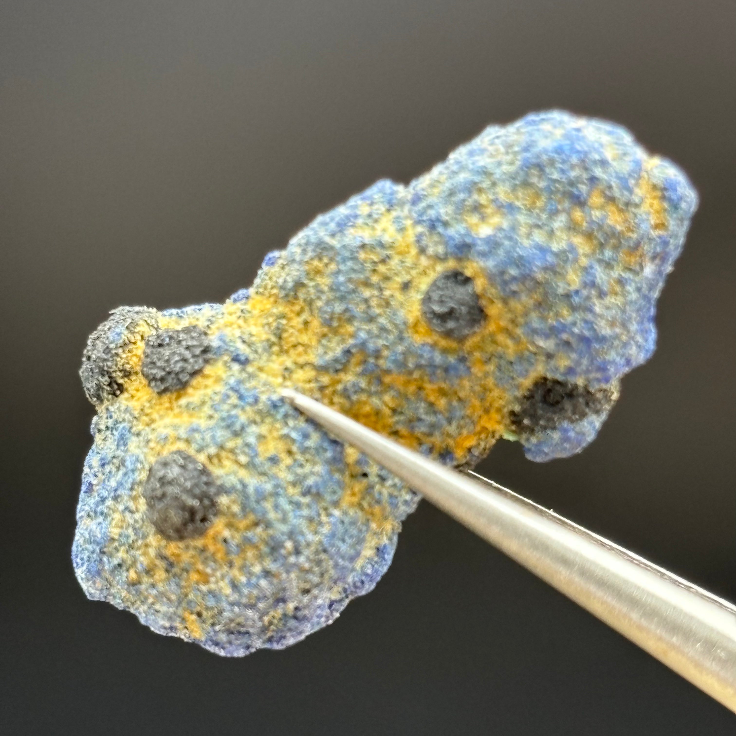 Azurite Blueberry - 012