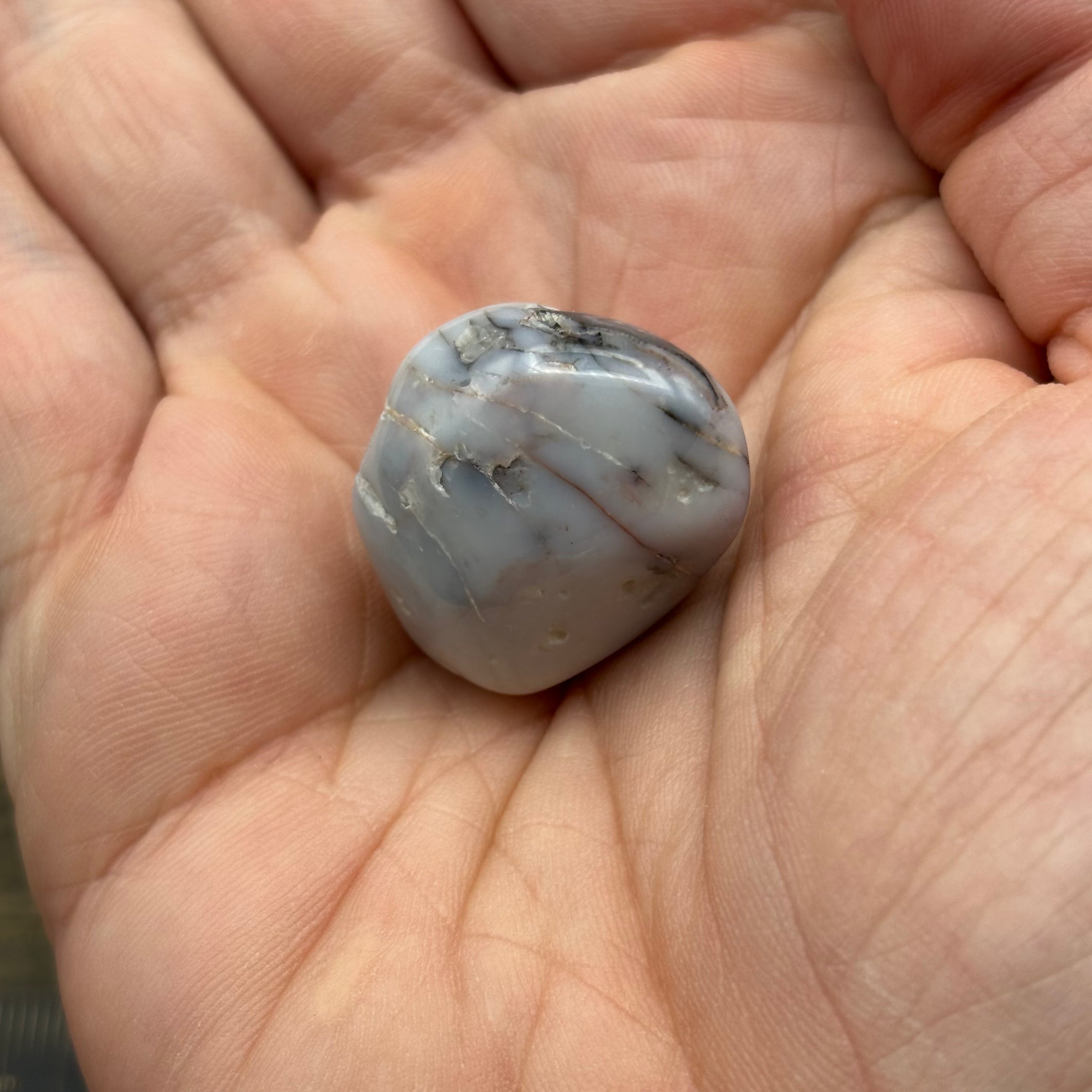 Laguna Agate - 220