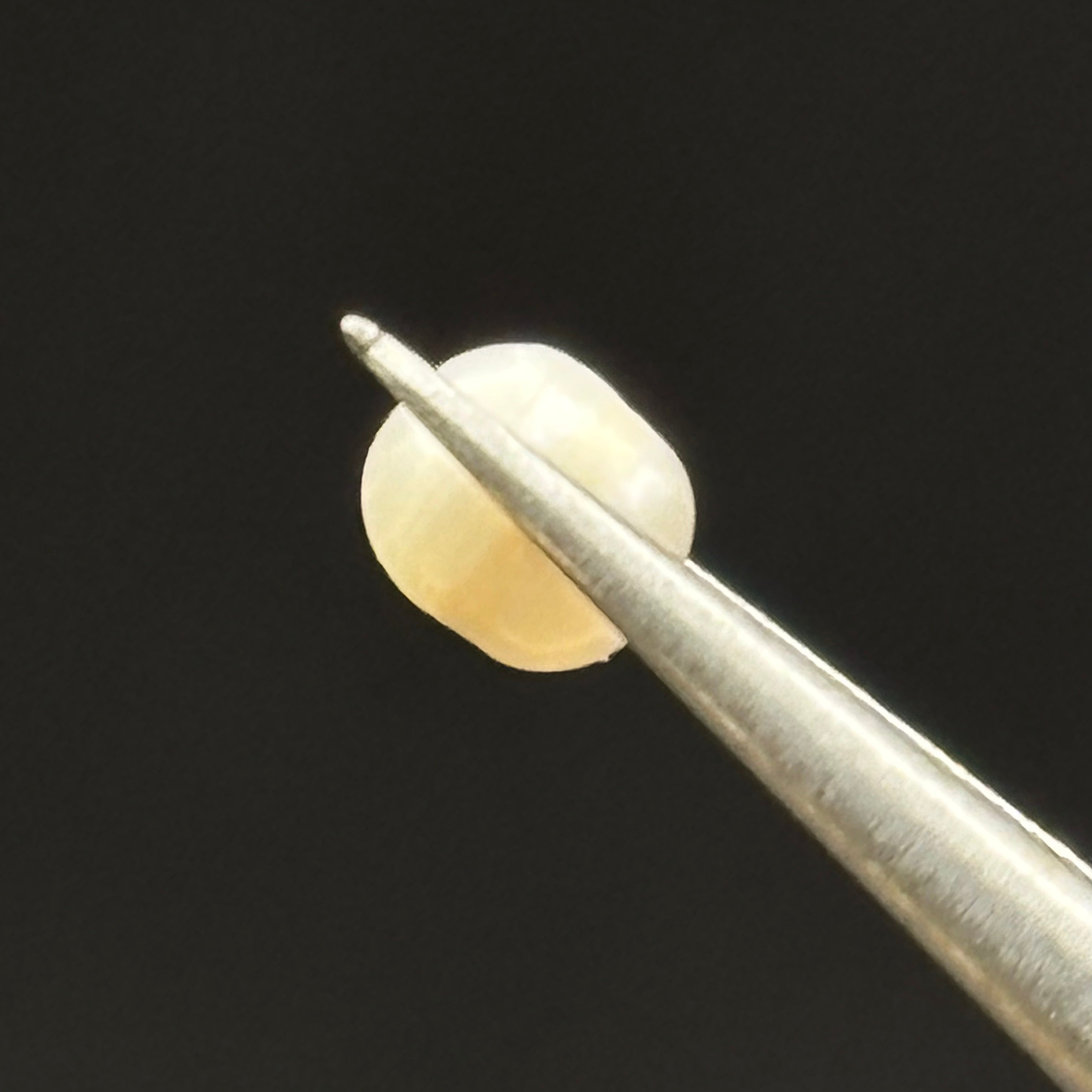 Wild Freshwater Pearl - 105