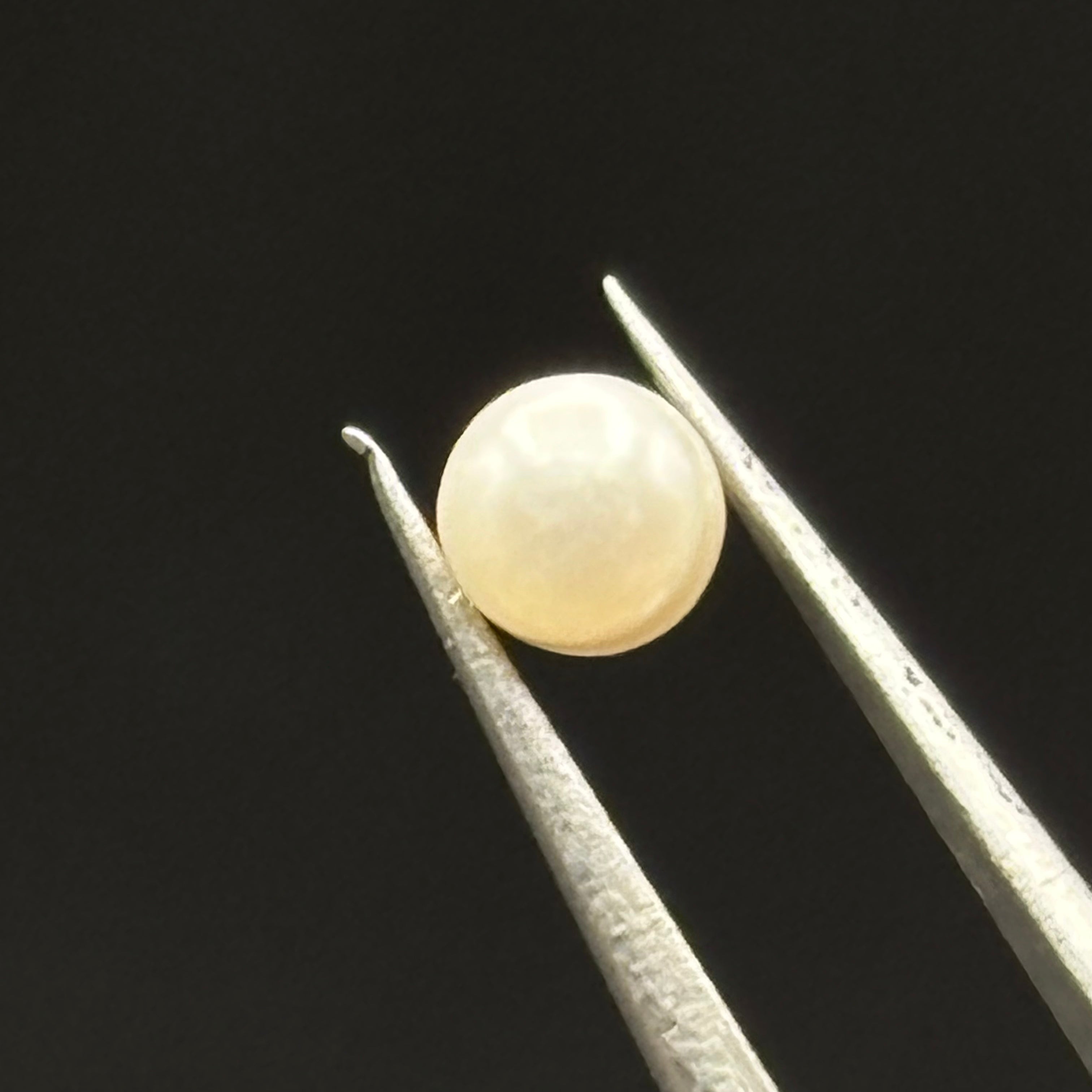 Wild Freshwater Pearl - 105