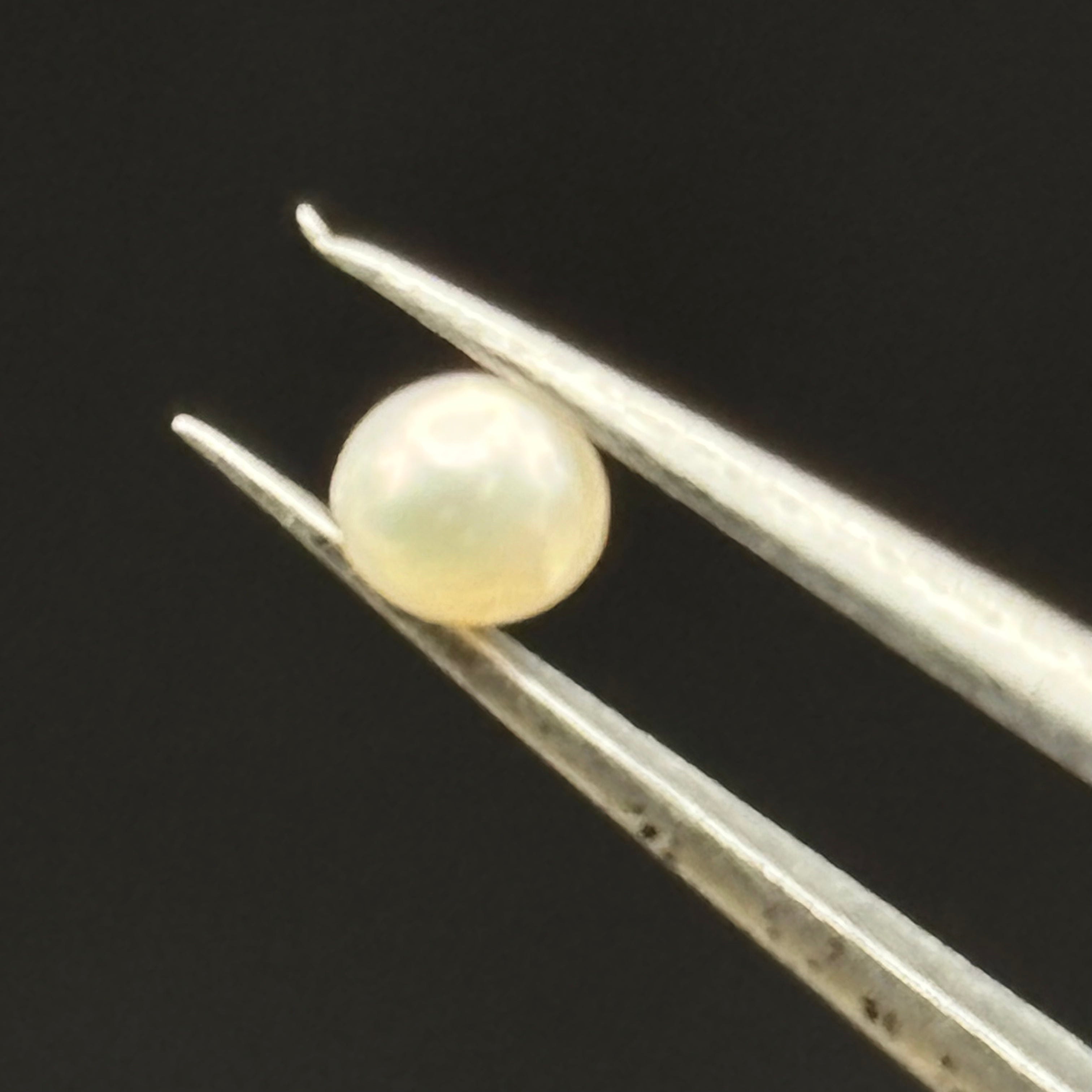 Wild Freshwater Pearl - 108