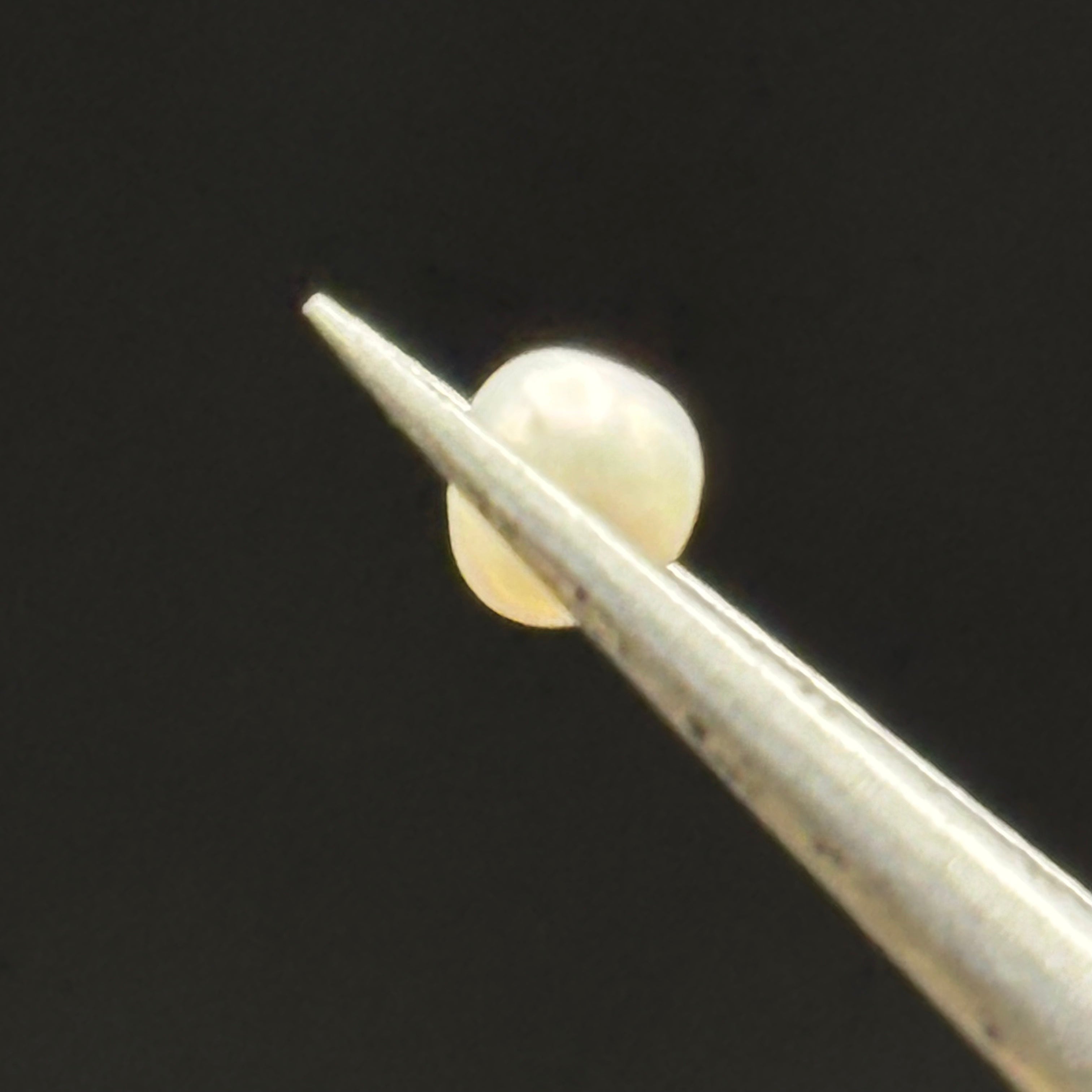 Wild Freshwater Pearl - 108