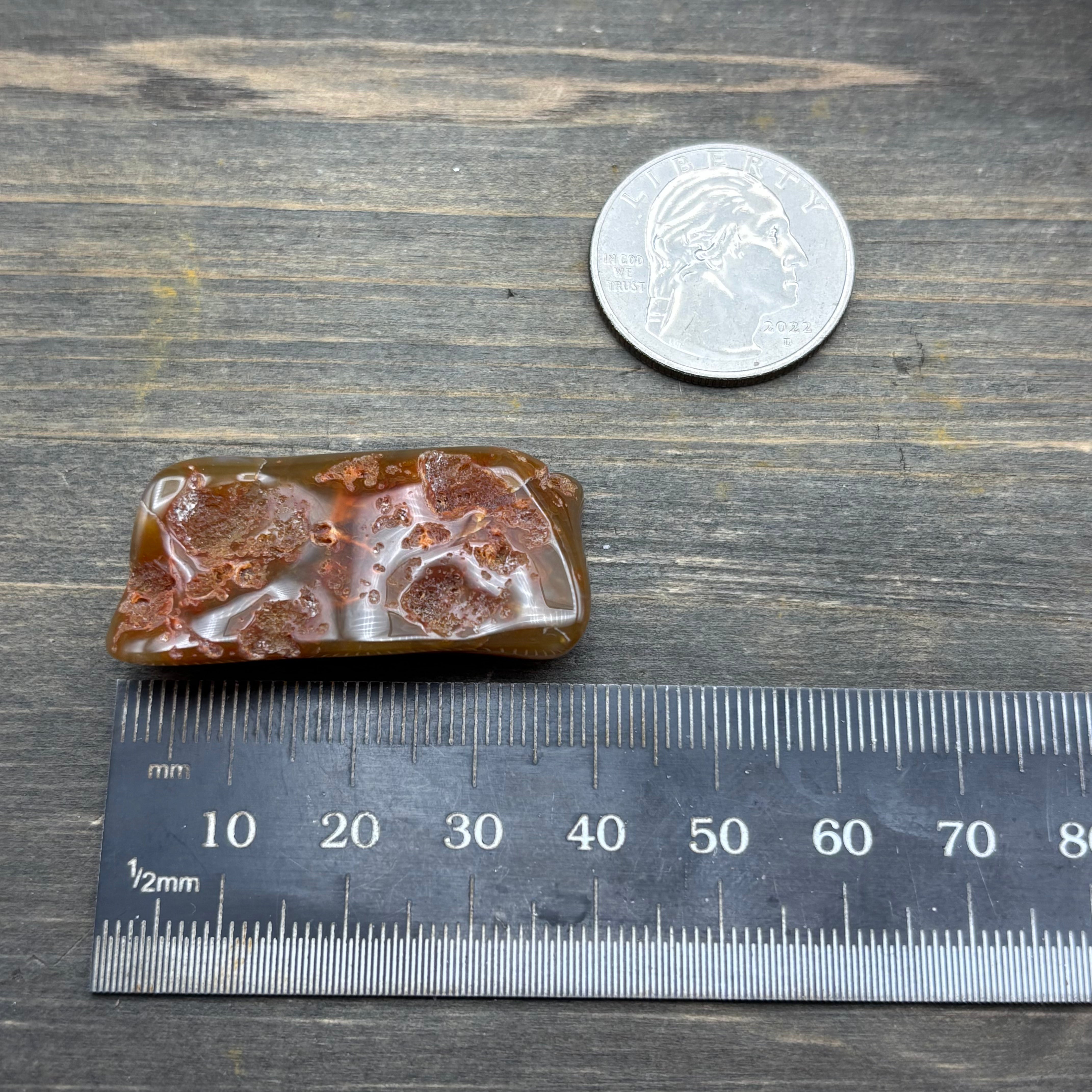 Laguna Agate - 232