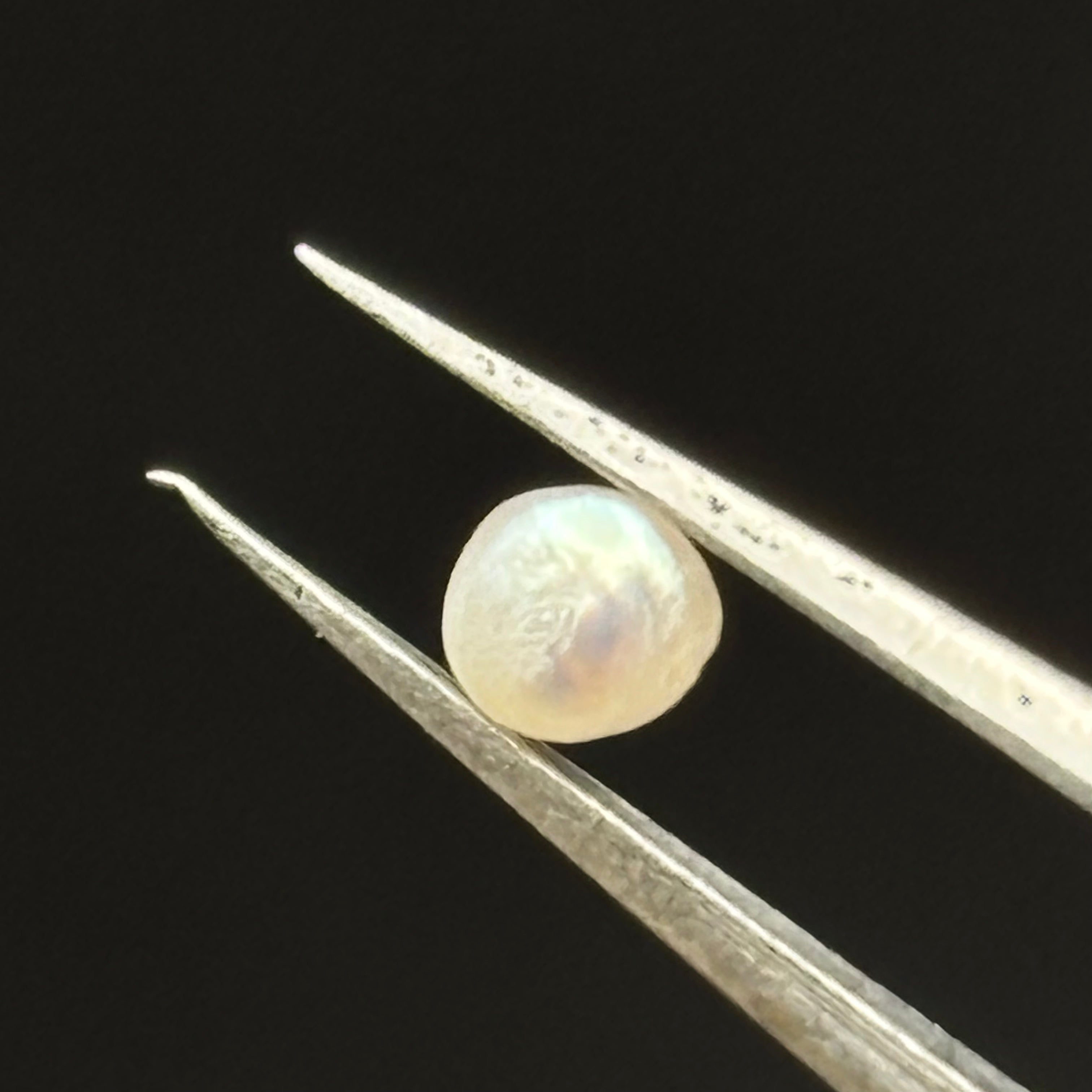 Wild Freshwater Pearl - 111