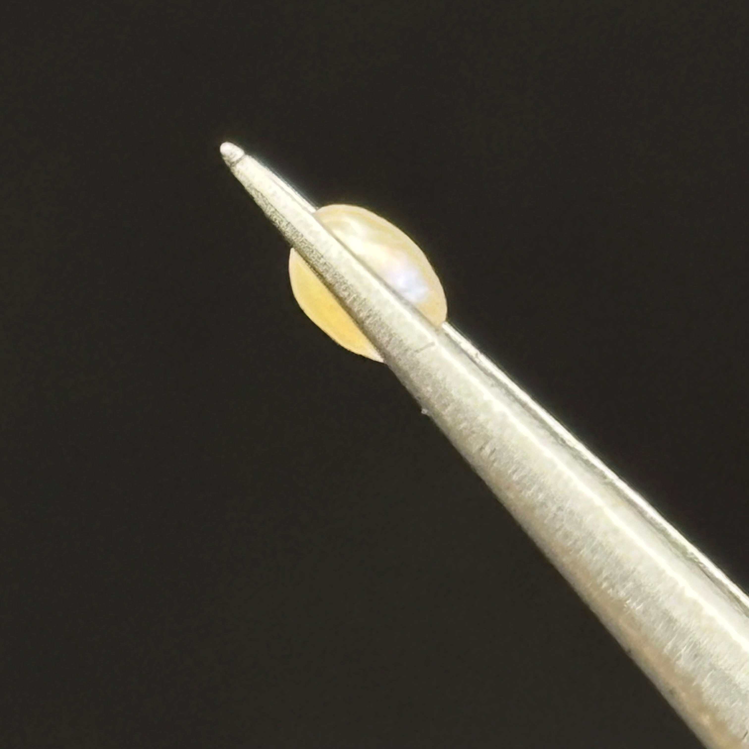 Wild Freshwater Pearl - 115