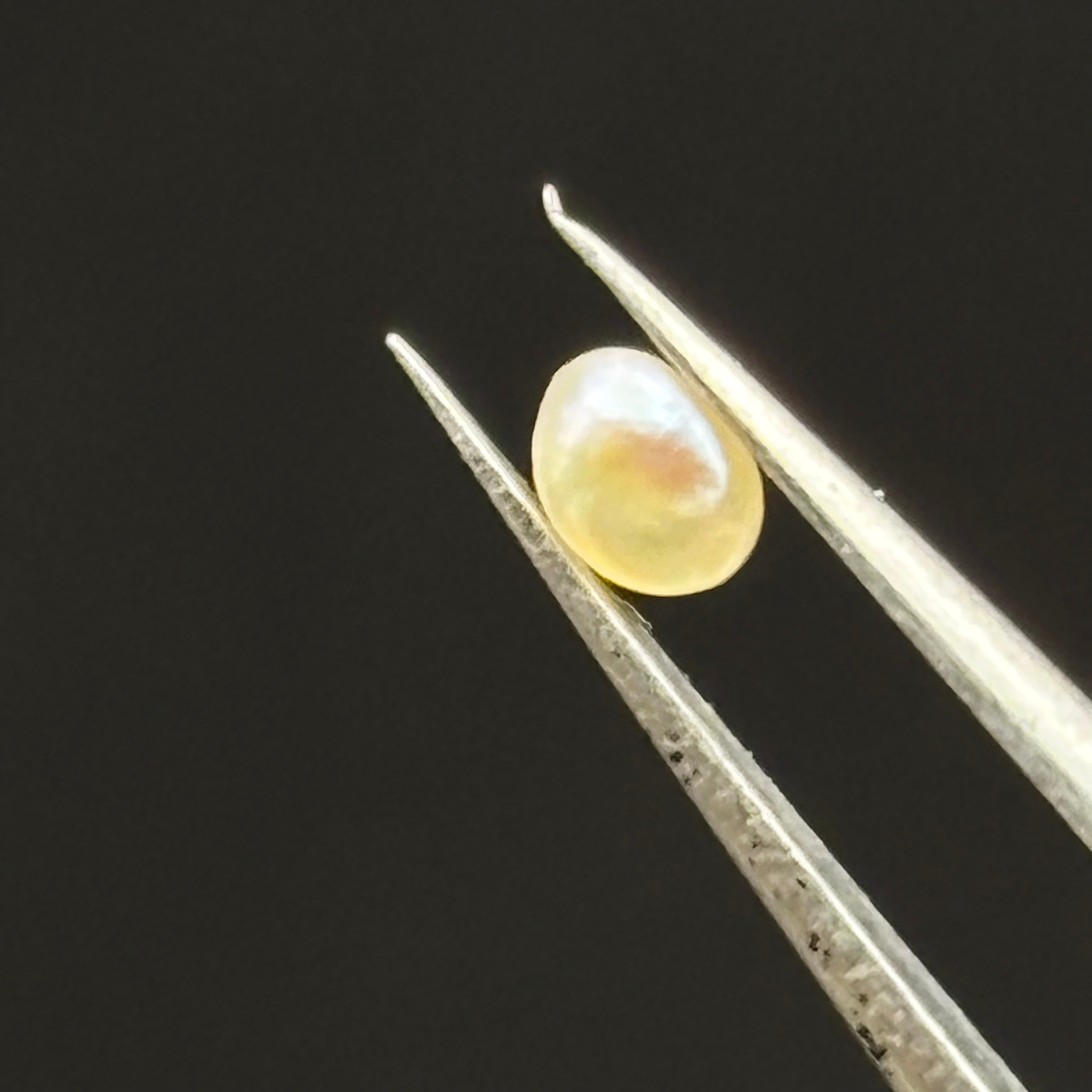 Wild Freshwater Pearl - 115