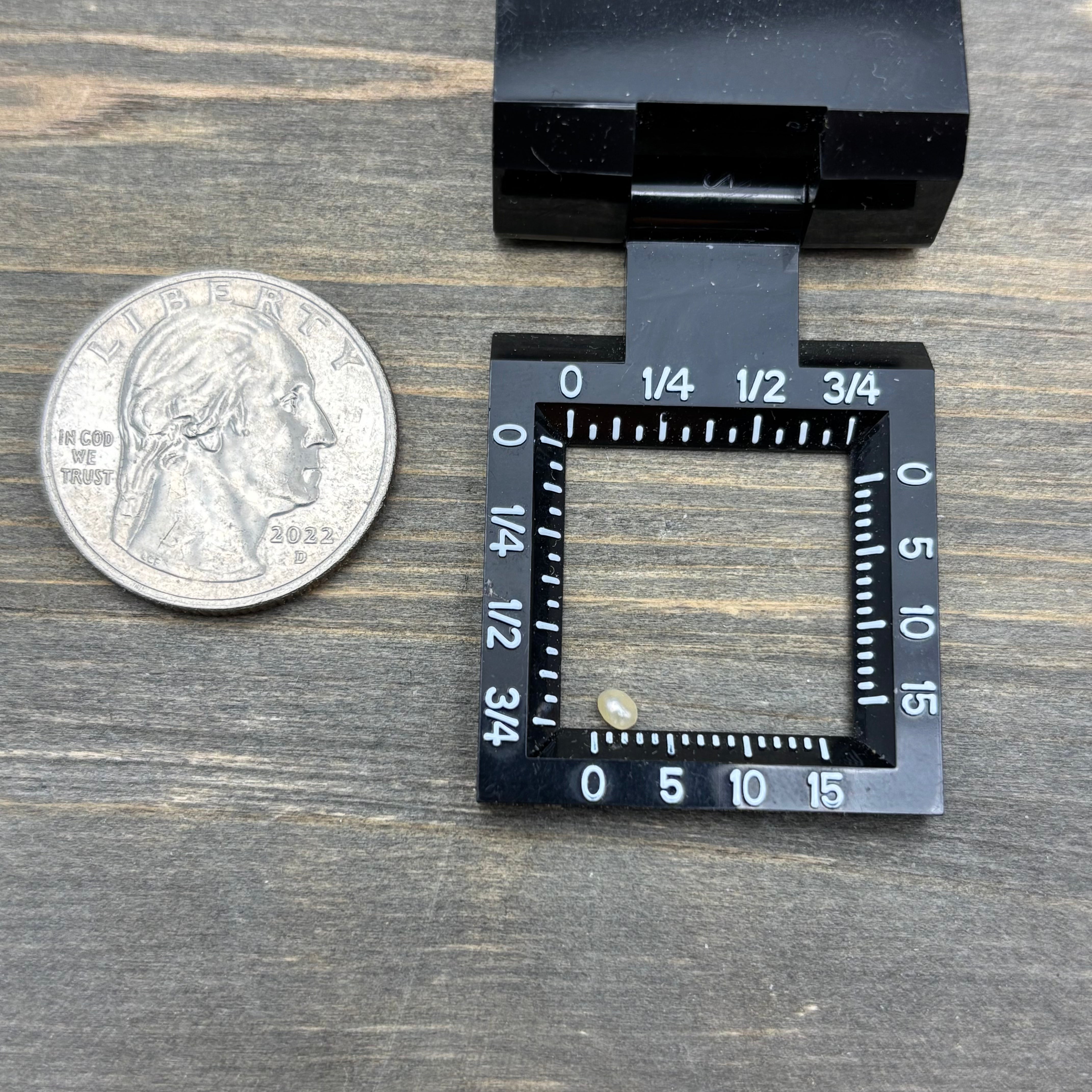 Wild Freshwater Pearl - 115