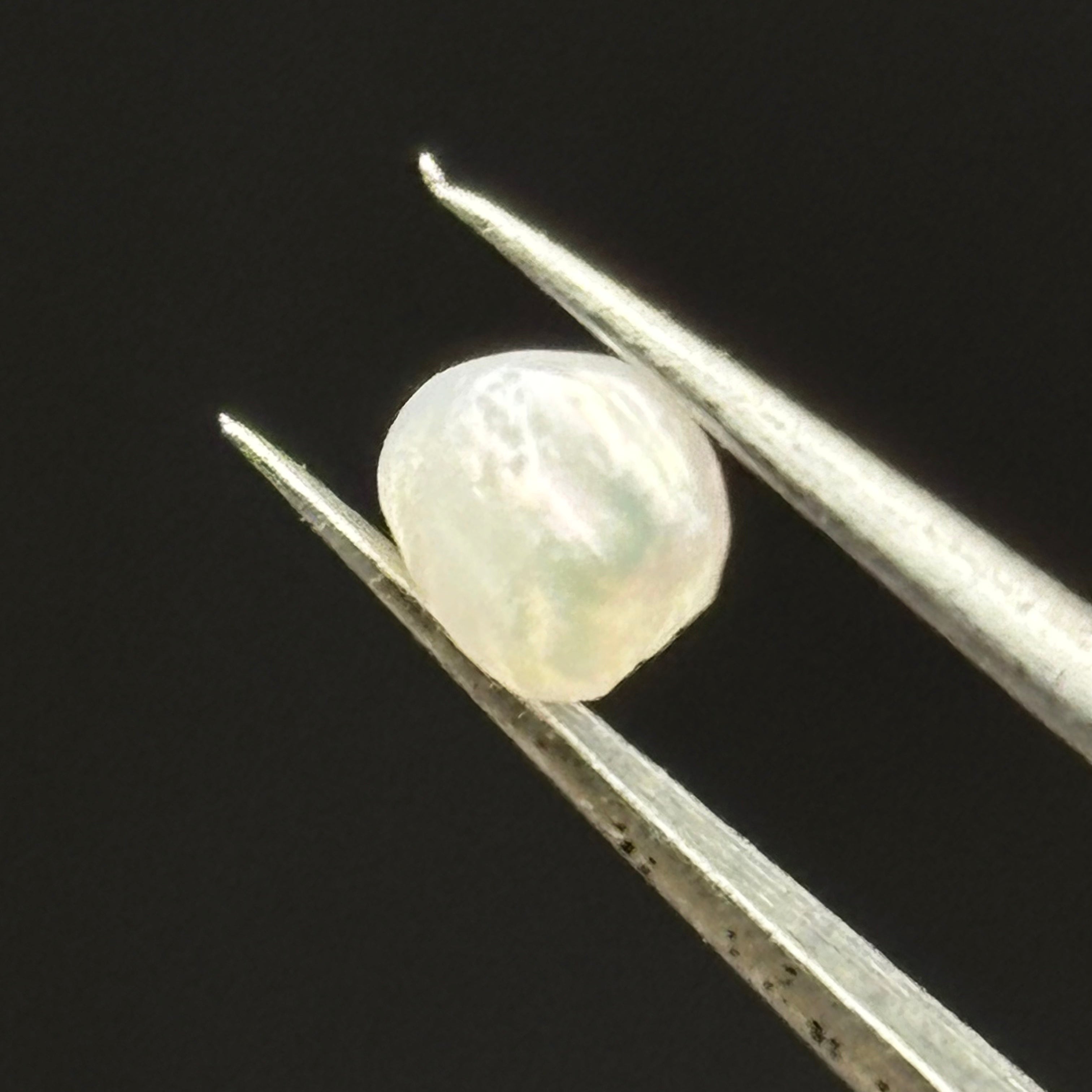 Wild Freshwater Pearl - 117