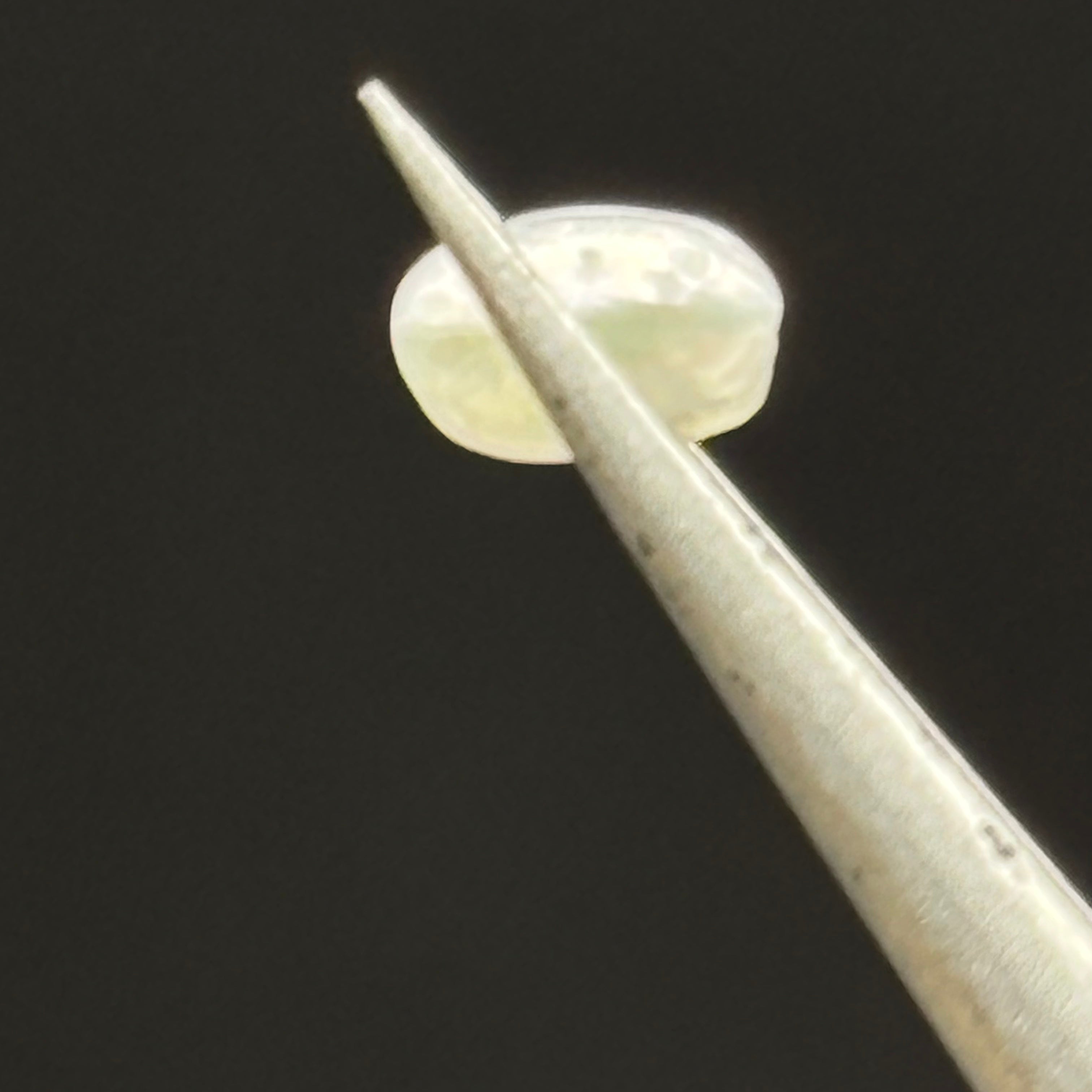 Wild Freshwater Pearl - 117