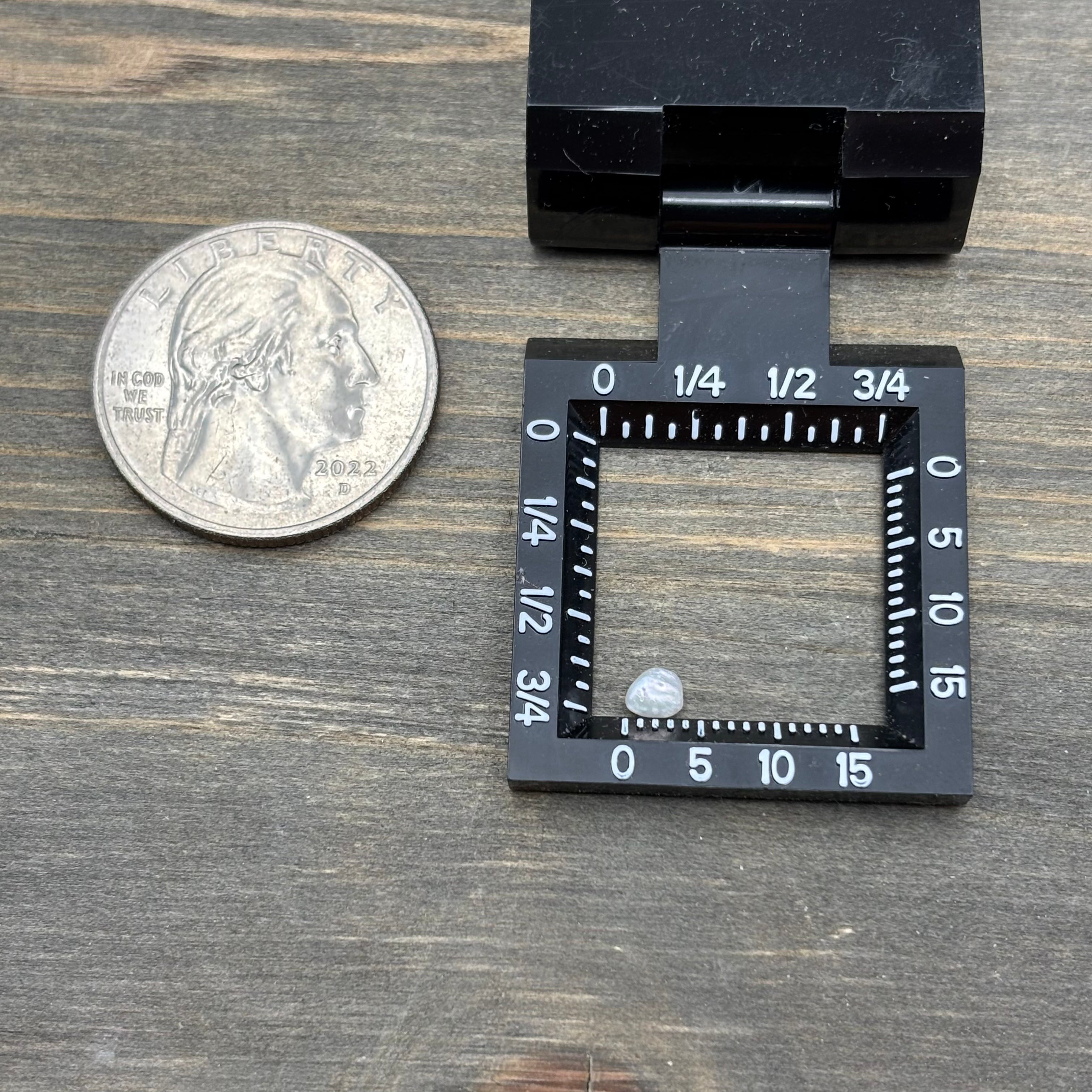 Wild Freshwater Pearl - 117