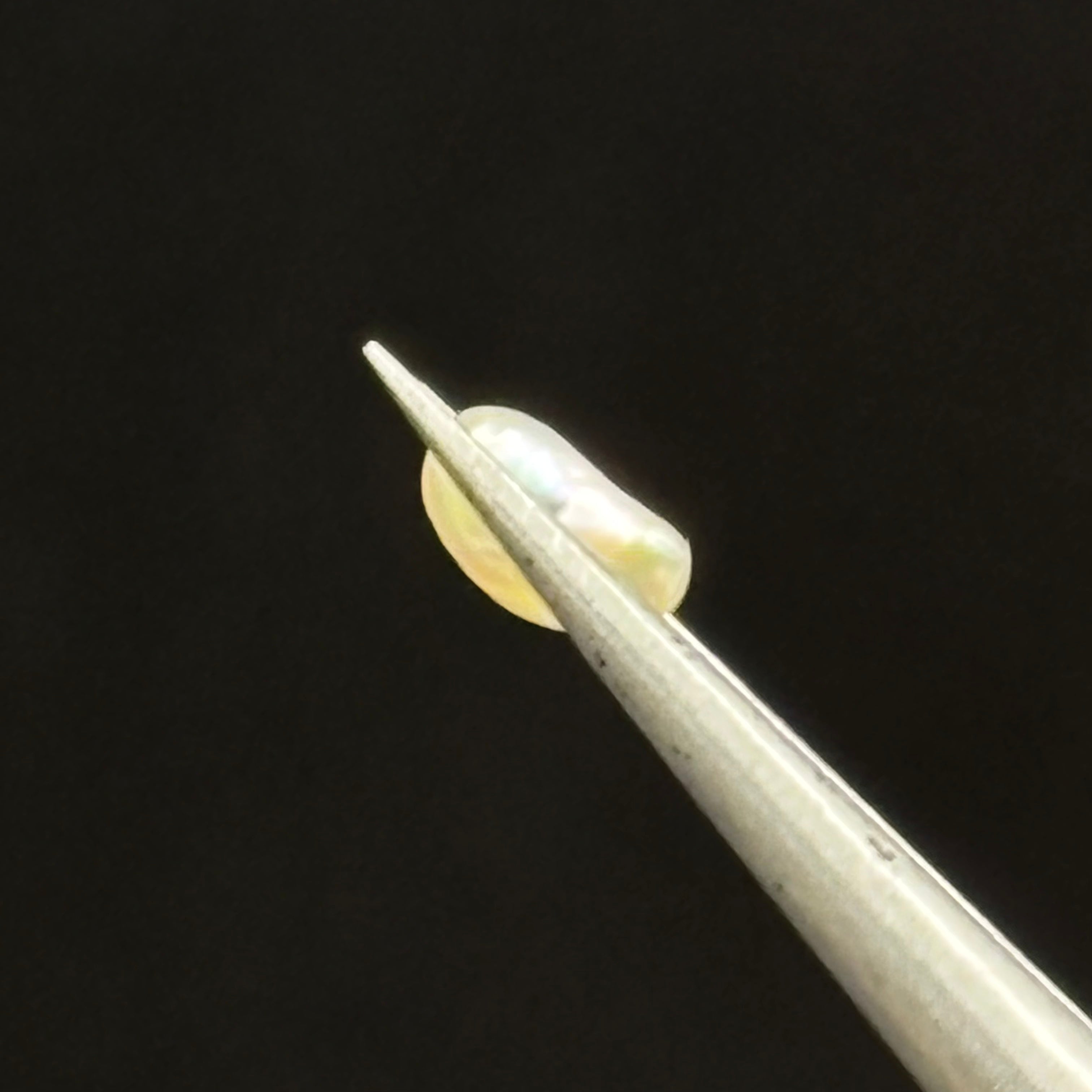 Wild Freshwater Pearl - 118