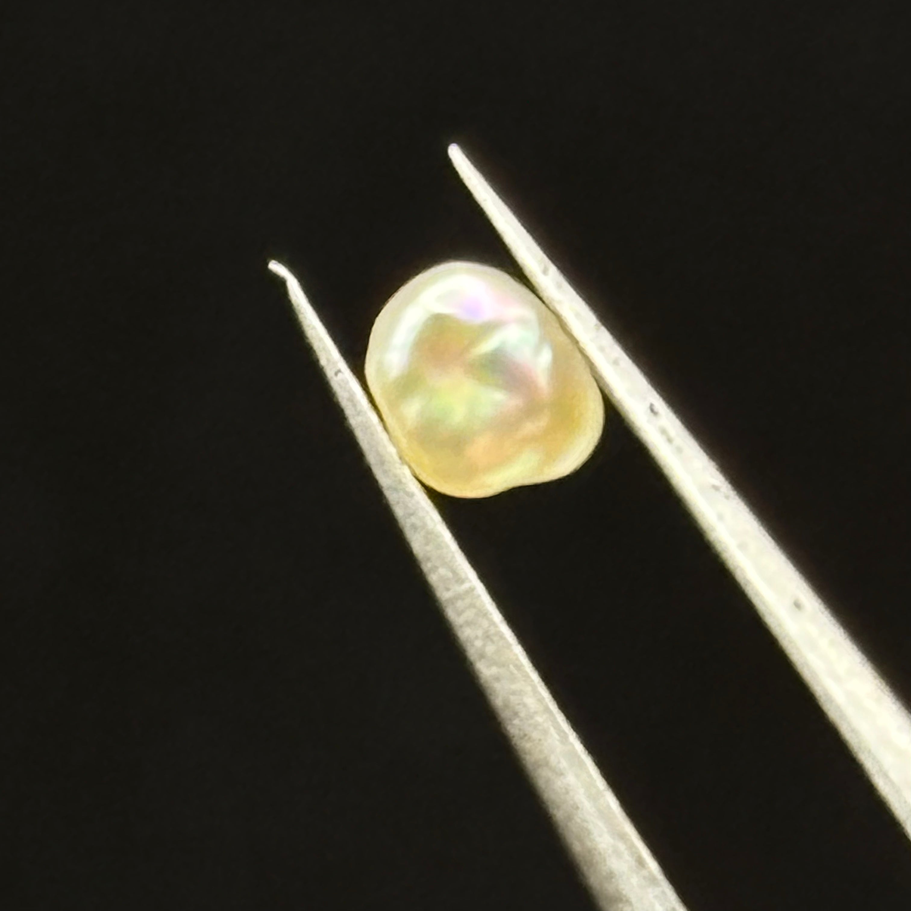 Wild Freshwater Pearl - 118