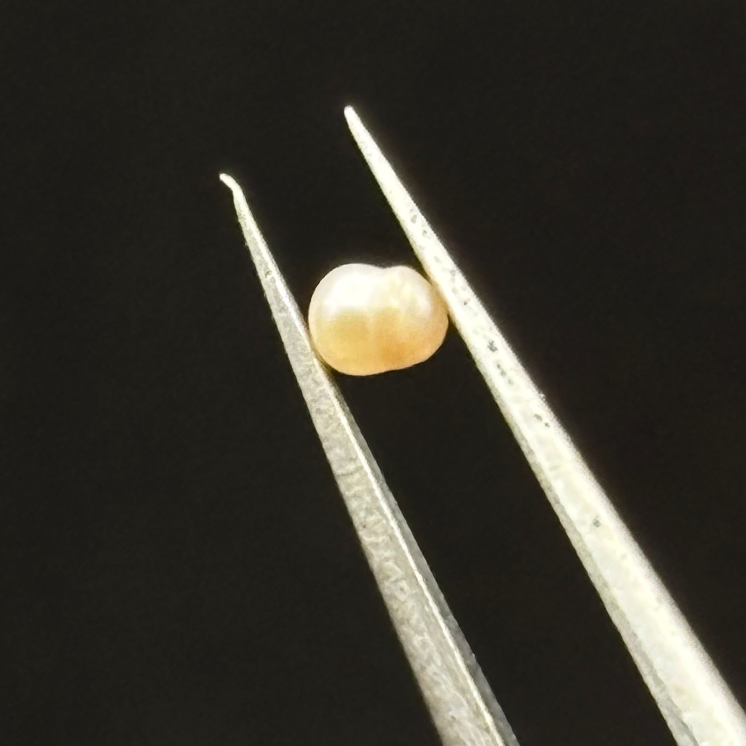 Wild Freshwater Pearl - 119