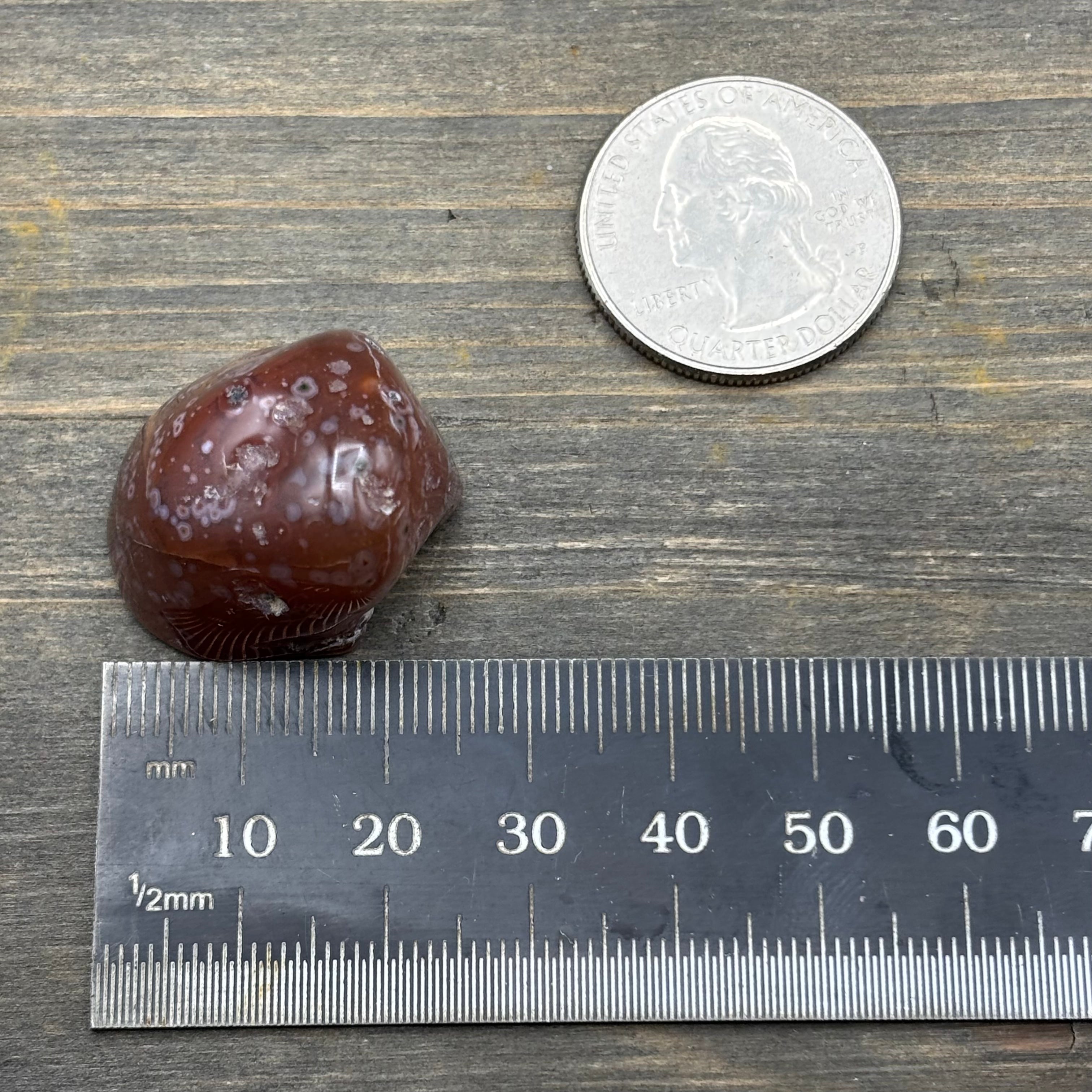 Laguna Agate - 245