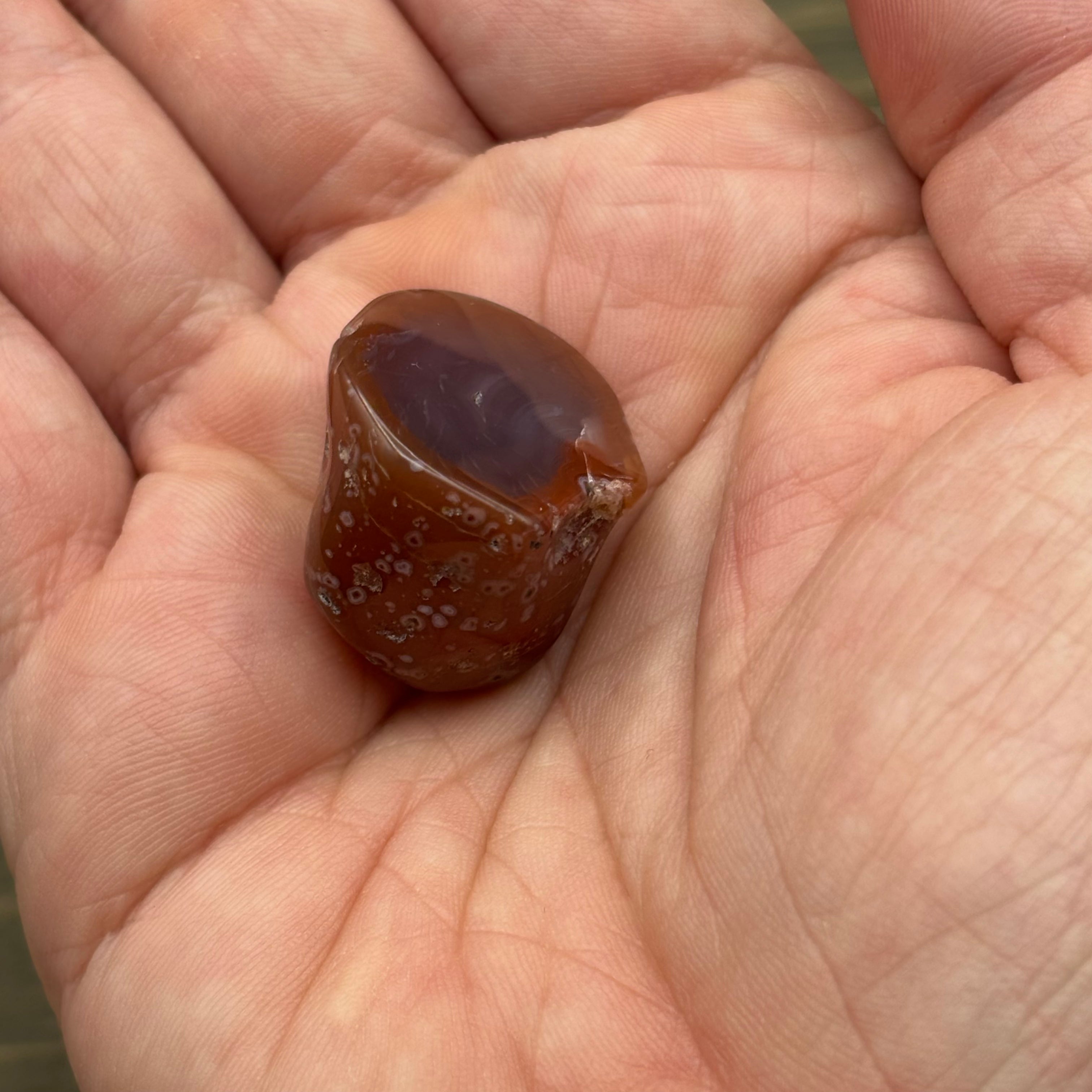 Laguna Agate - 245