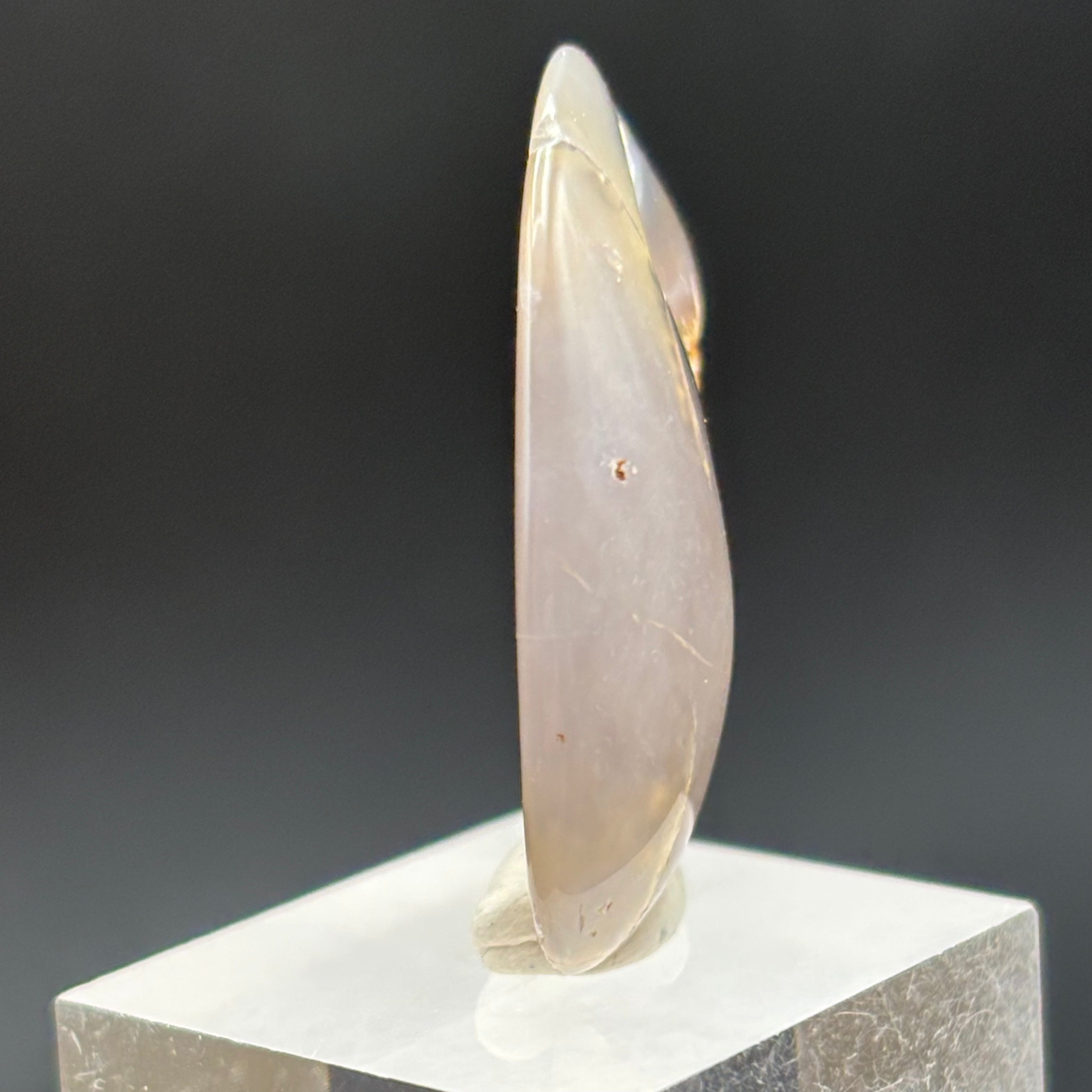 Laguna Agate - 248