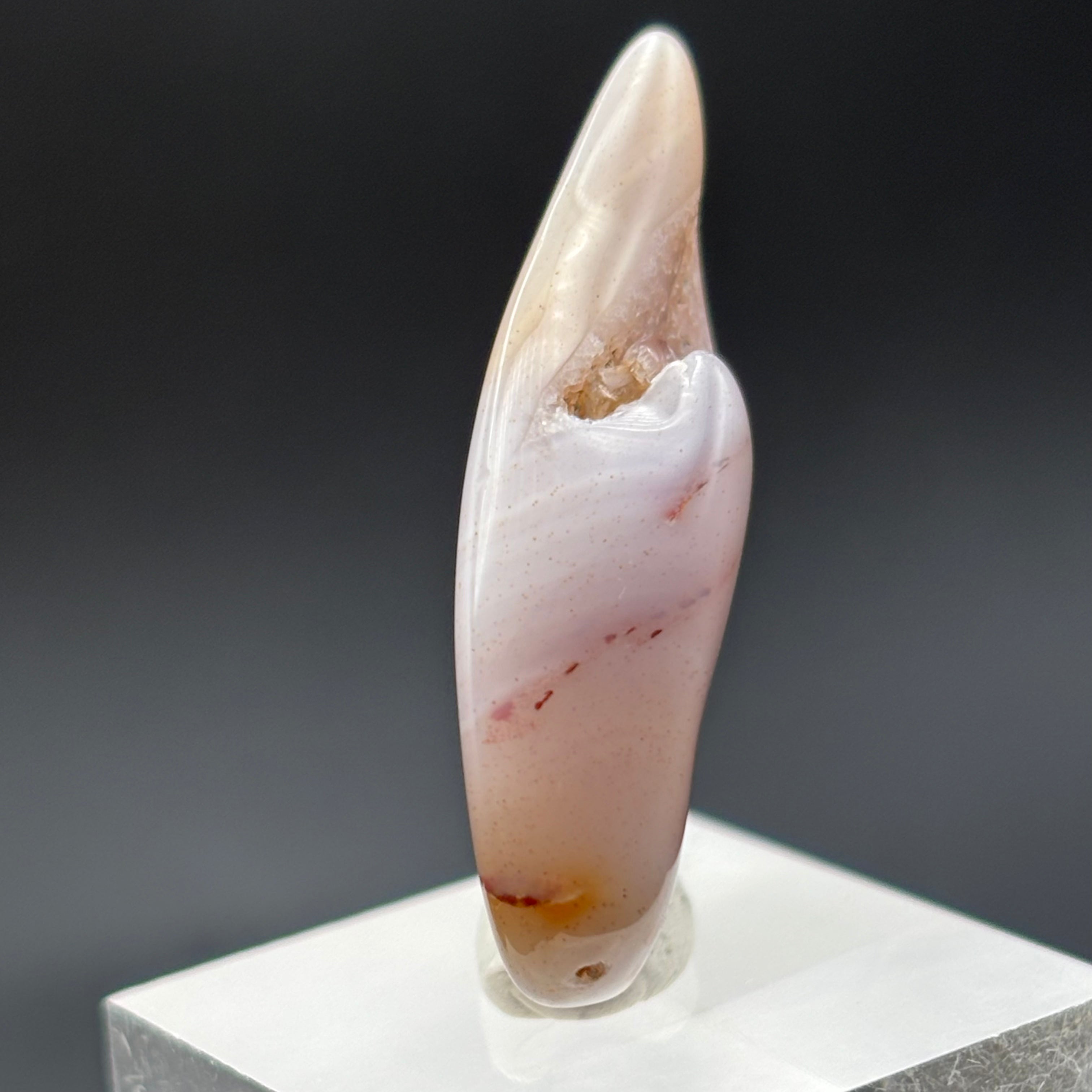 Laguna Agate - 250