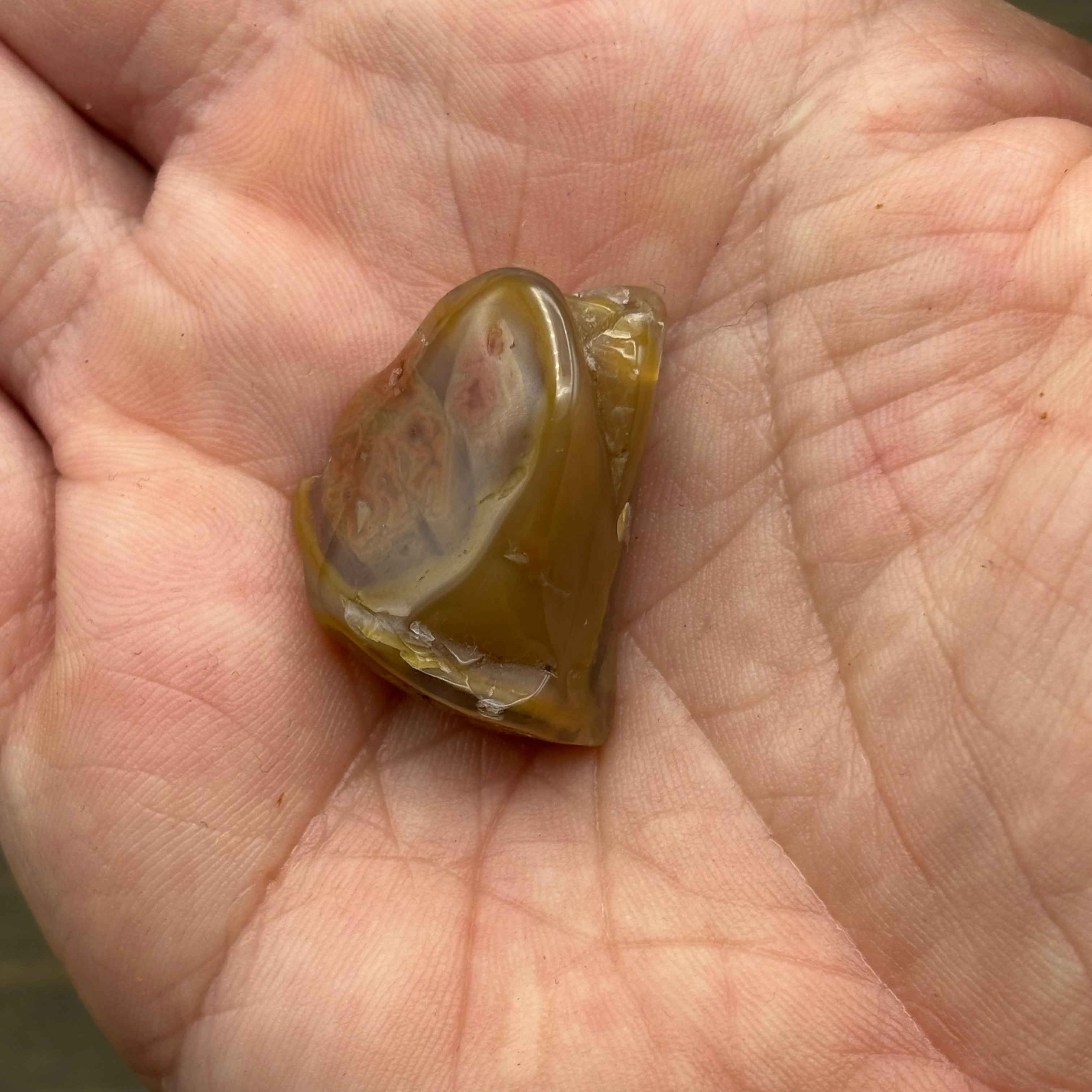 Laguna Agate - 254