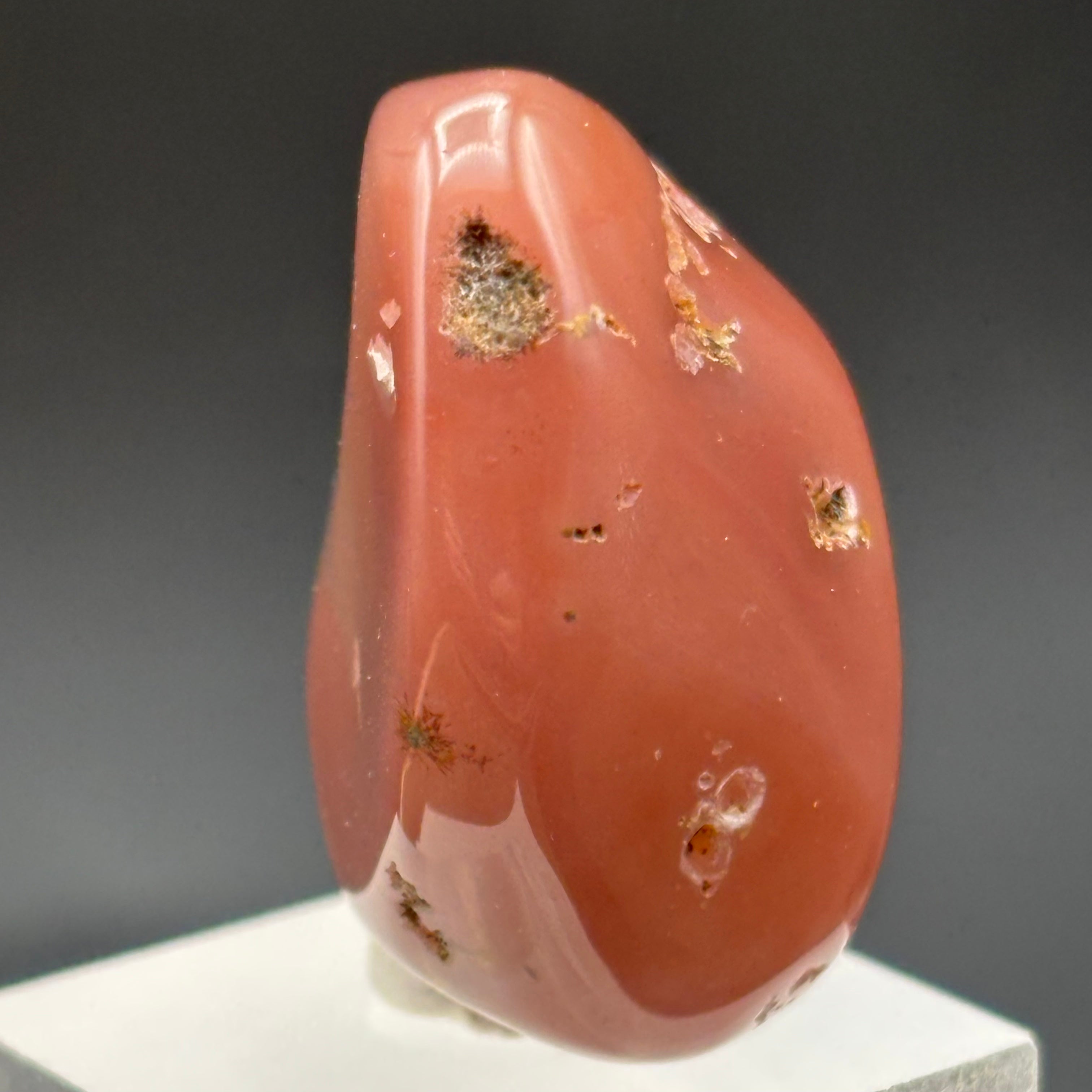 Laguna Agate - 256