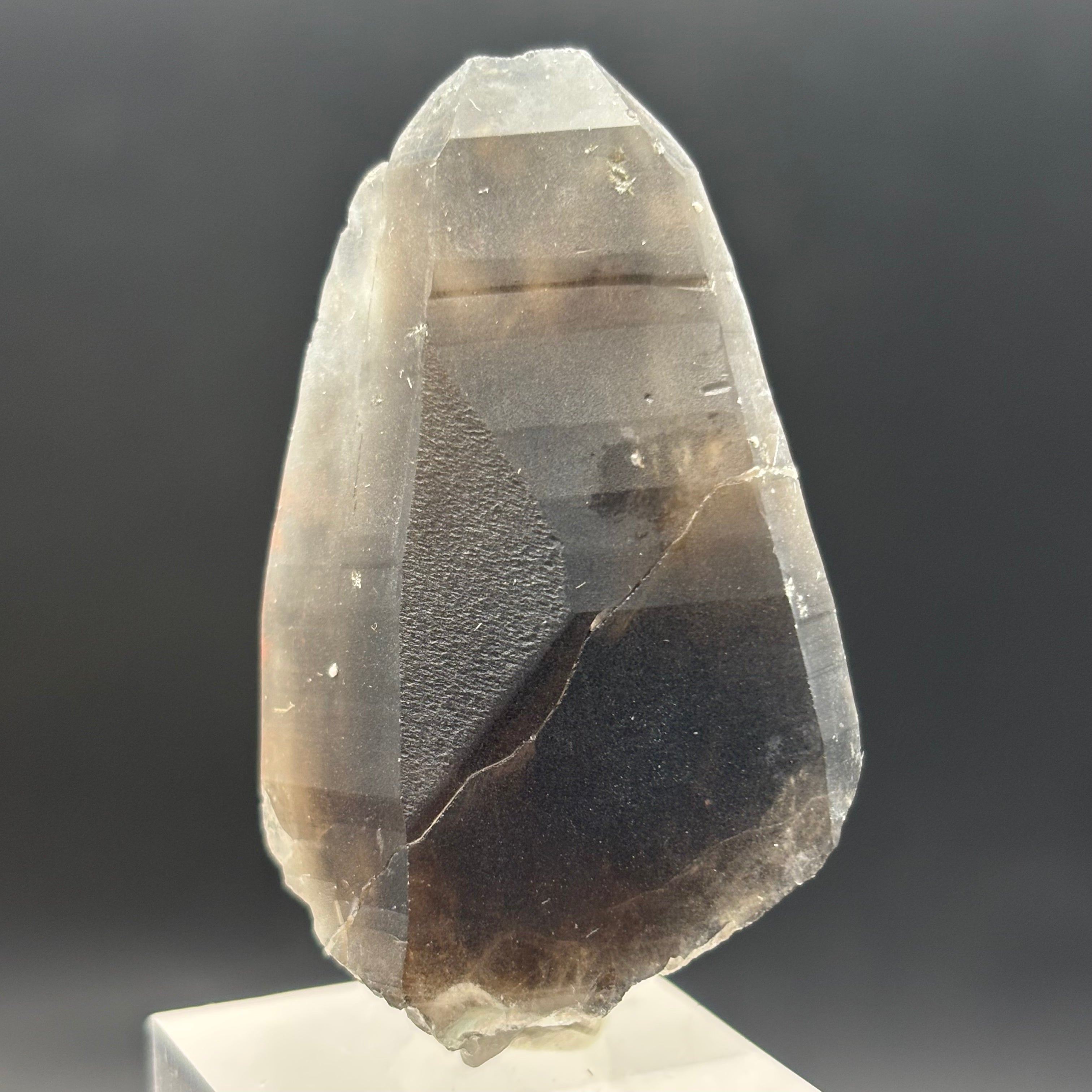 Dark Smoky Quartz Whole Crystal - 020
