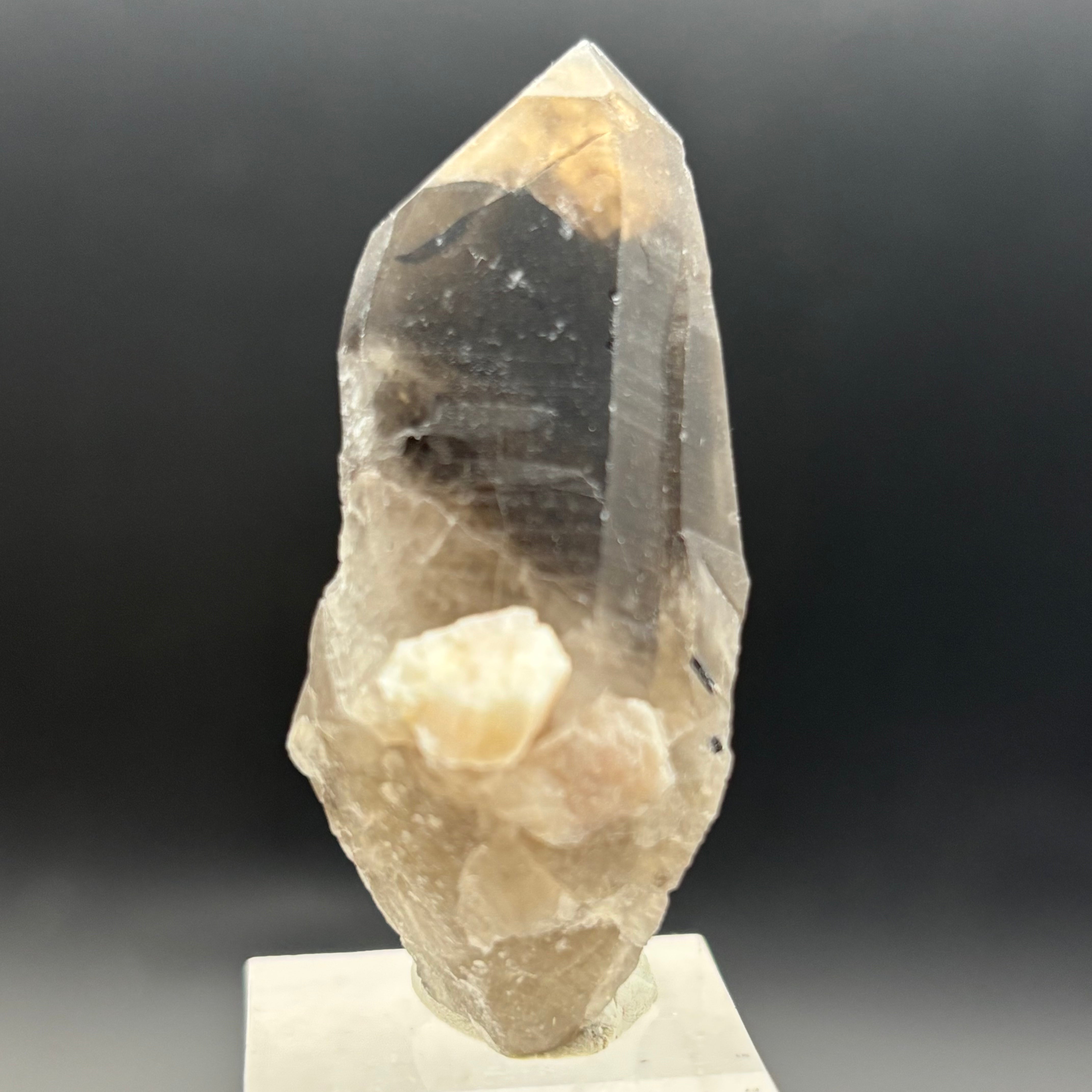 Dark Smoky Quartz Whole Crystal - 022