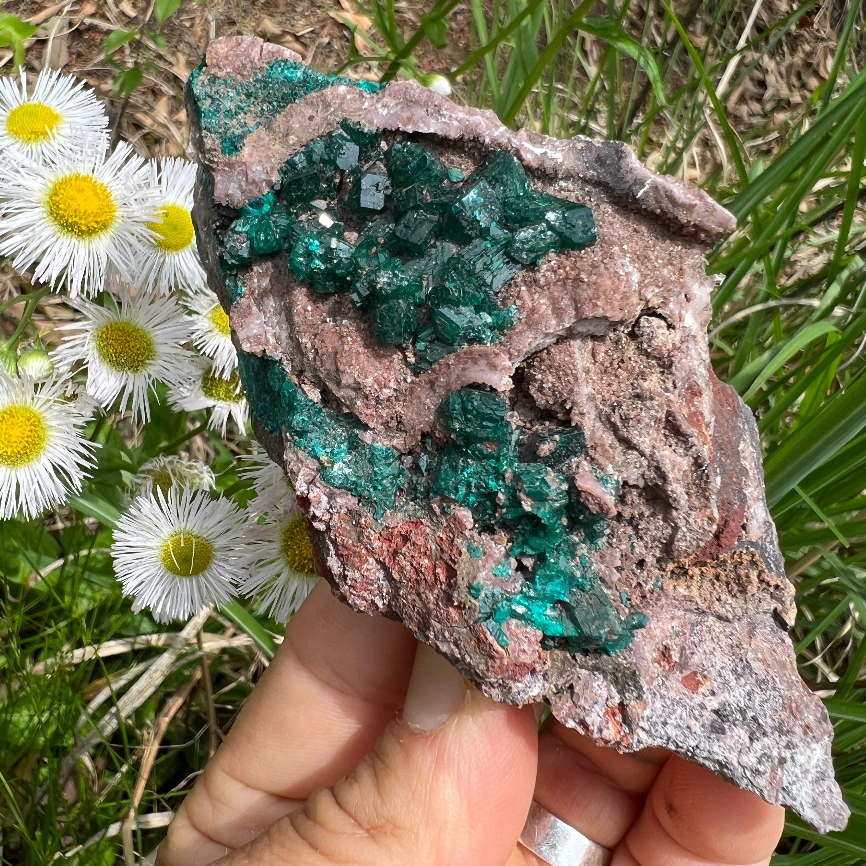 Dioptase Crystal - 002