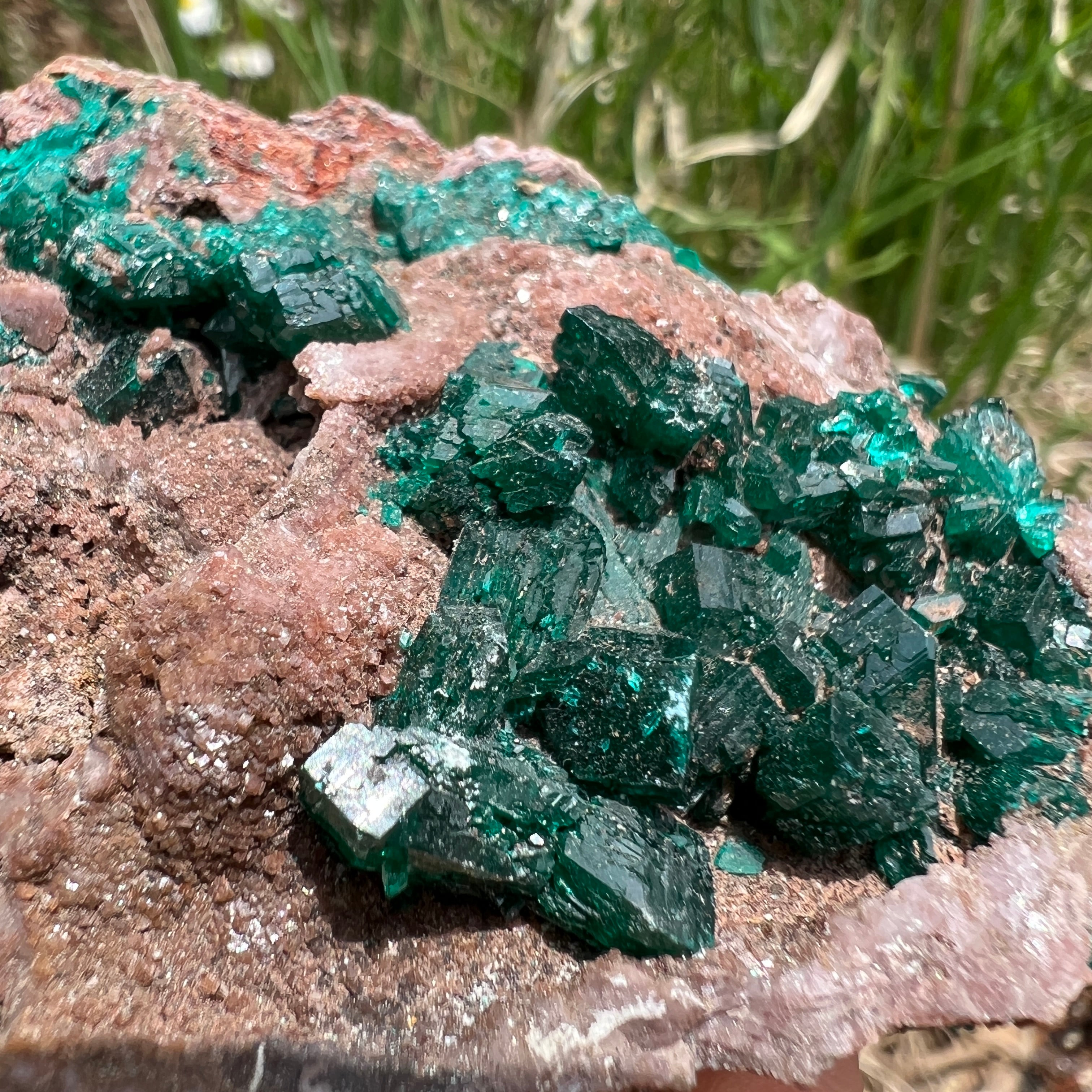 Dioptase Crystal - 002