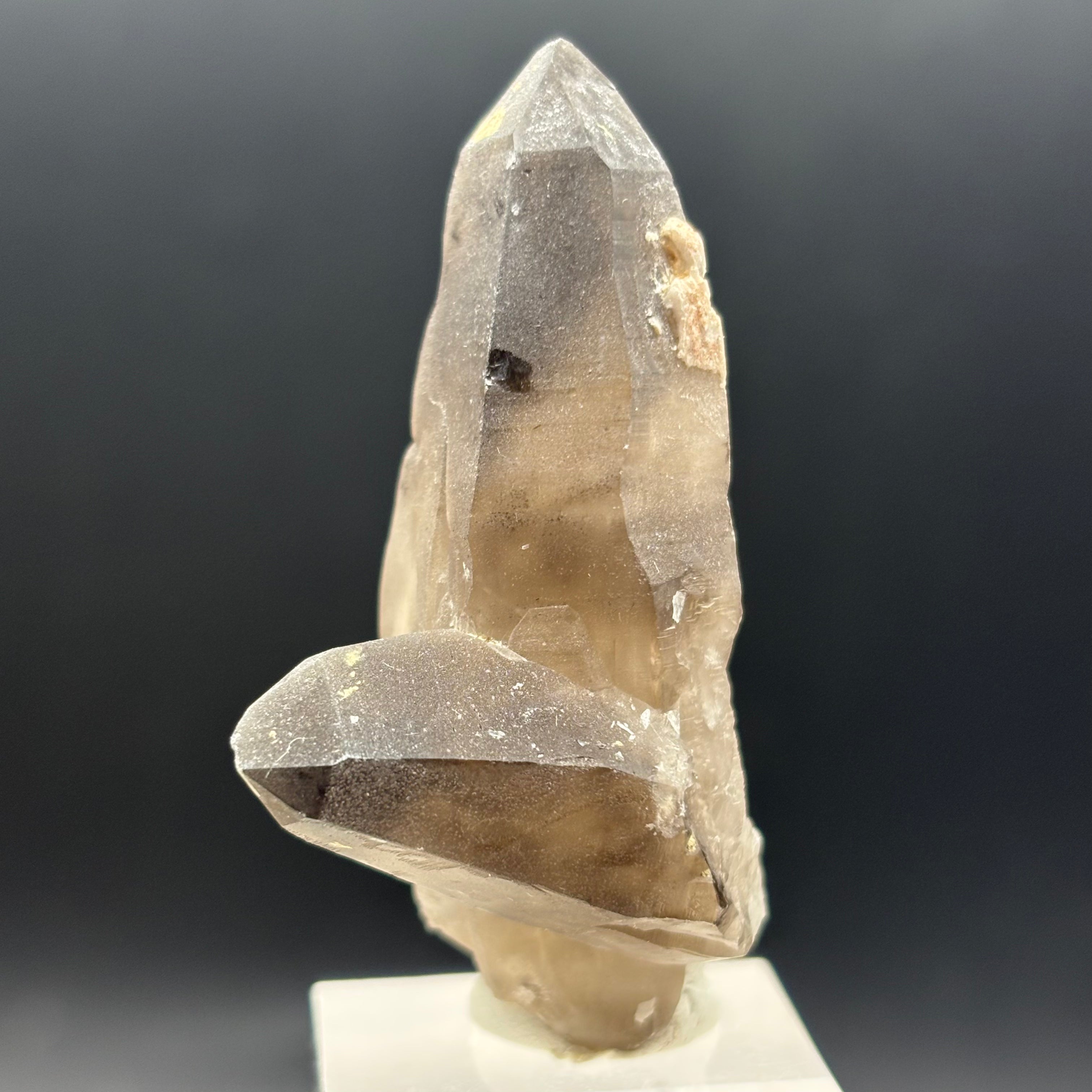 Dark Smoky Quartz Whole Crystal - 023