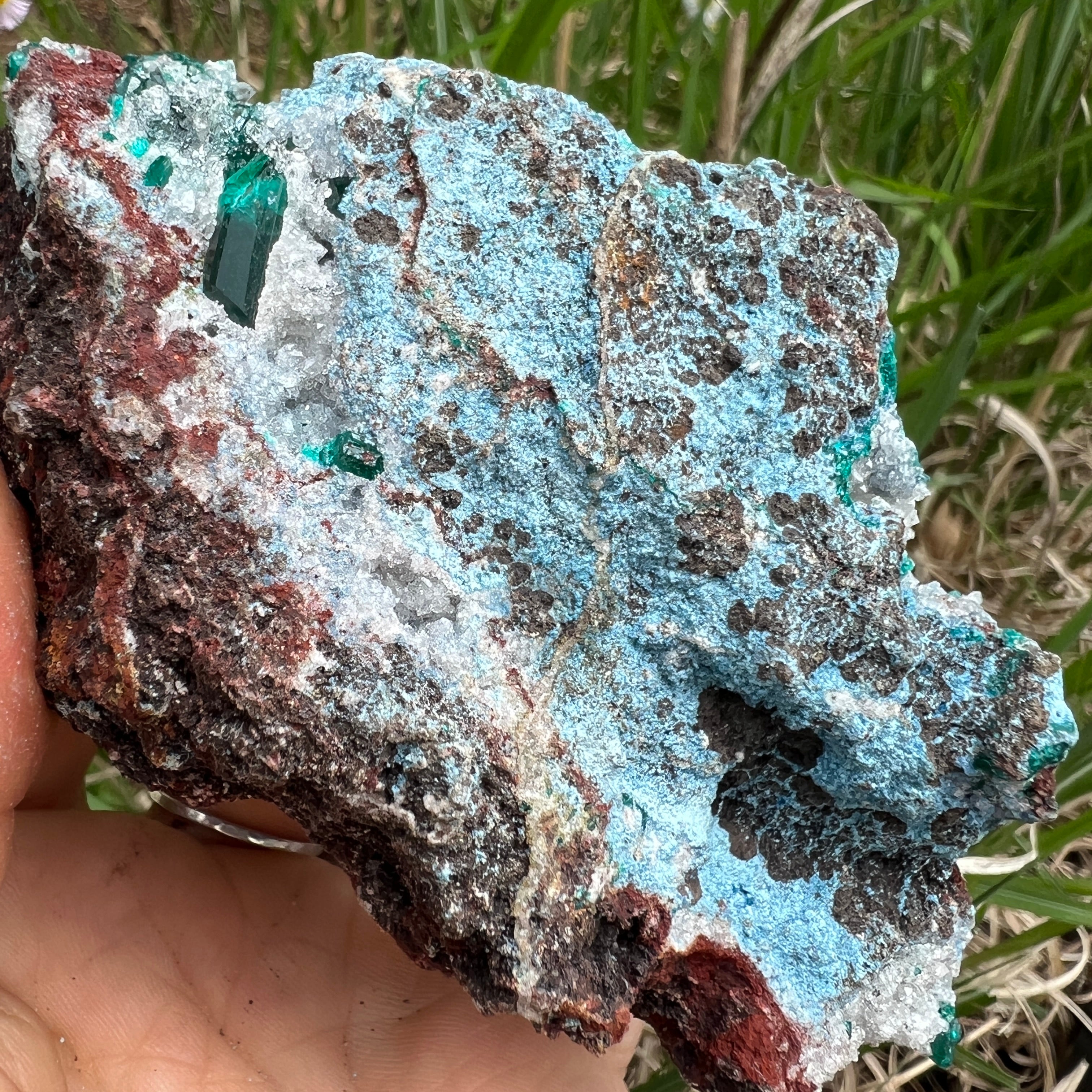 Dioptase Crystal - 004