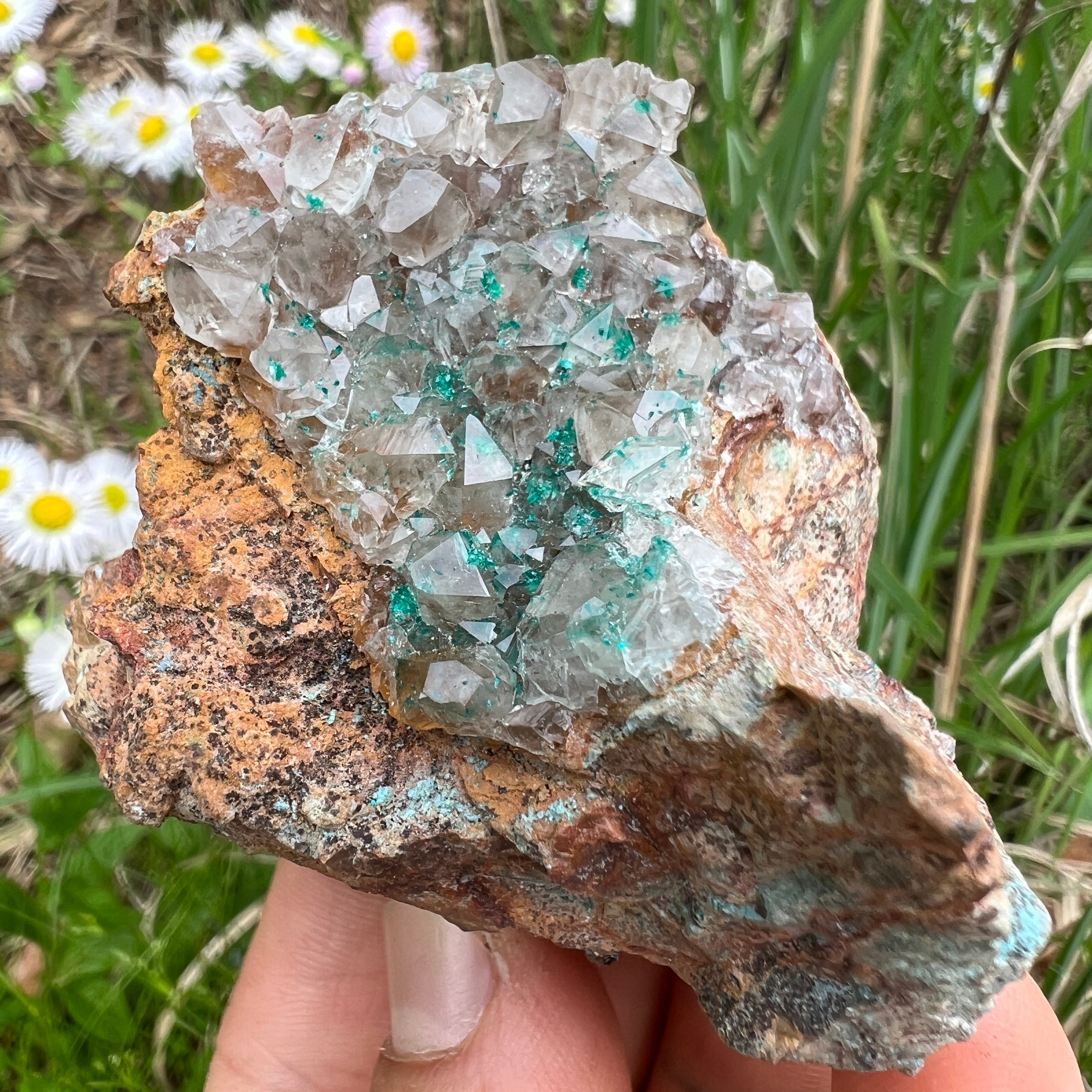 Dioptase Crystal - 005