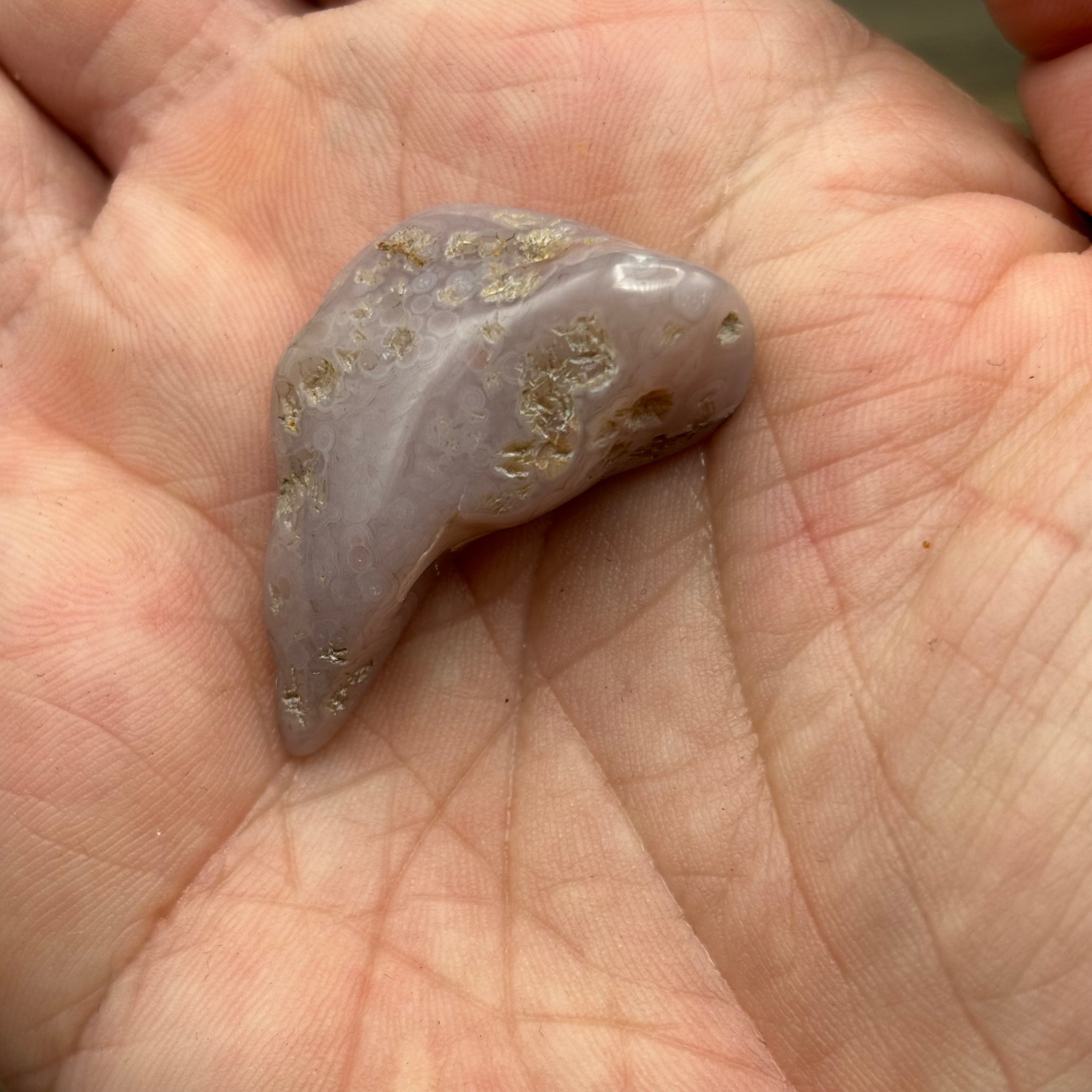 Laguna Agate - 263