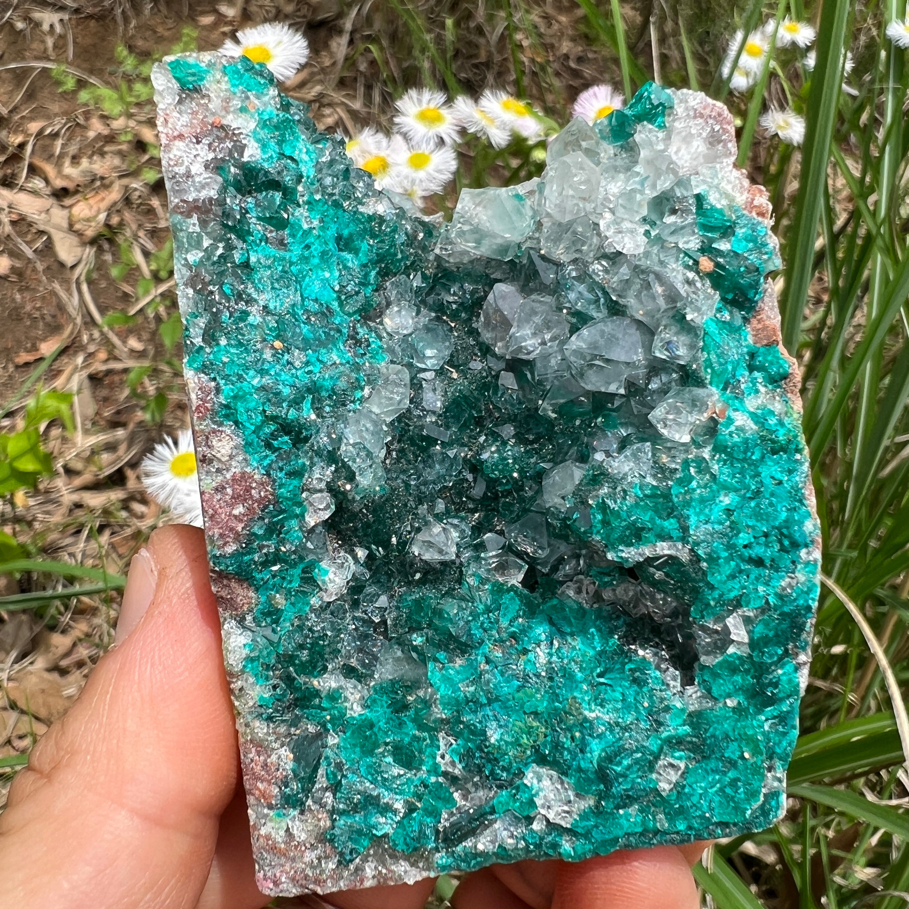 Dioptase Crystal - 010
