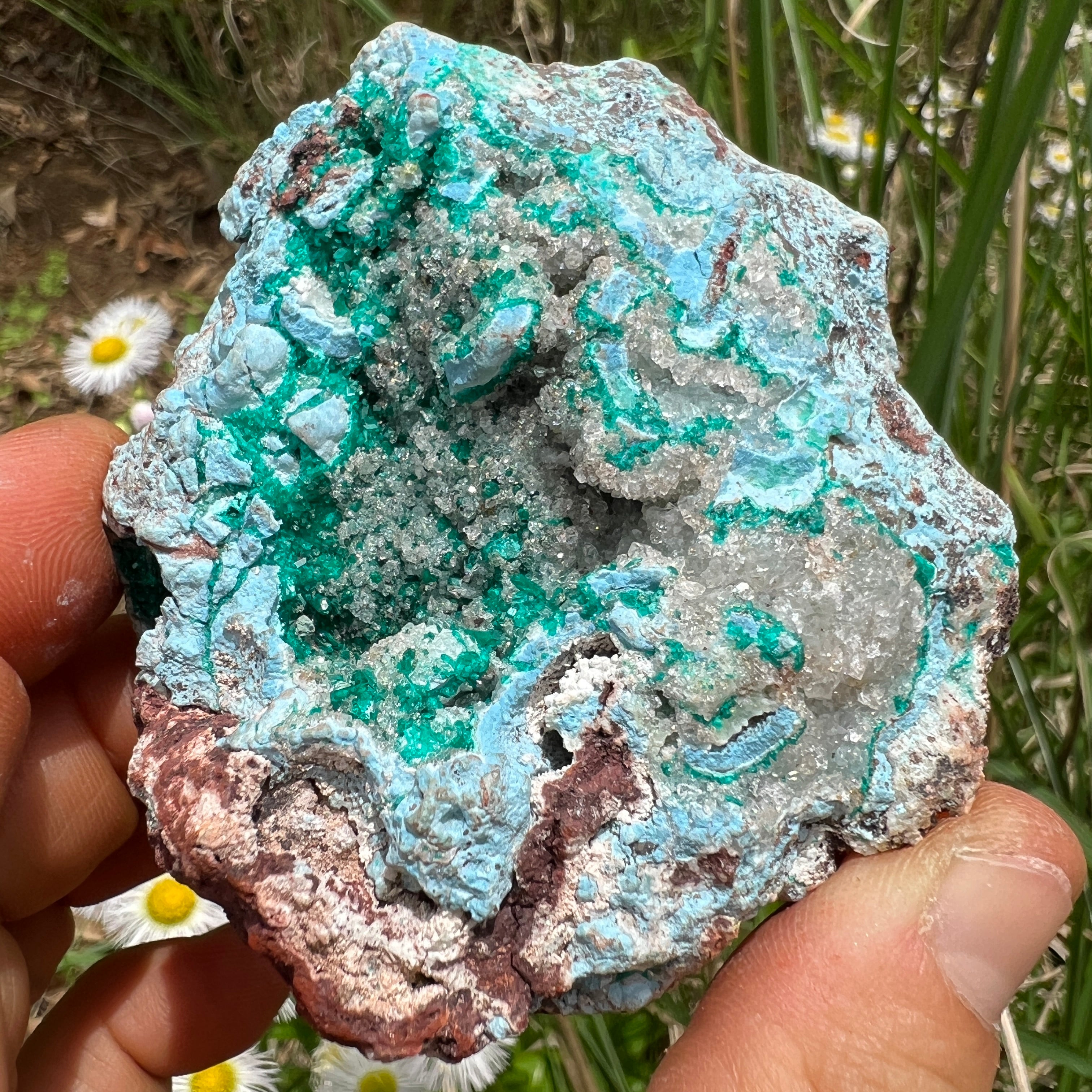 Dioptase Crystal - 013