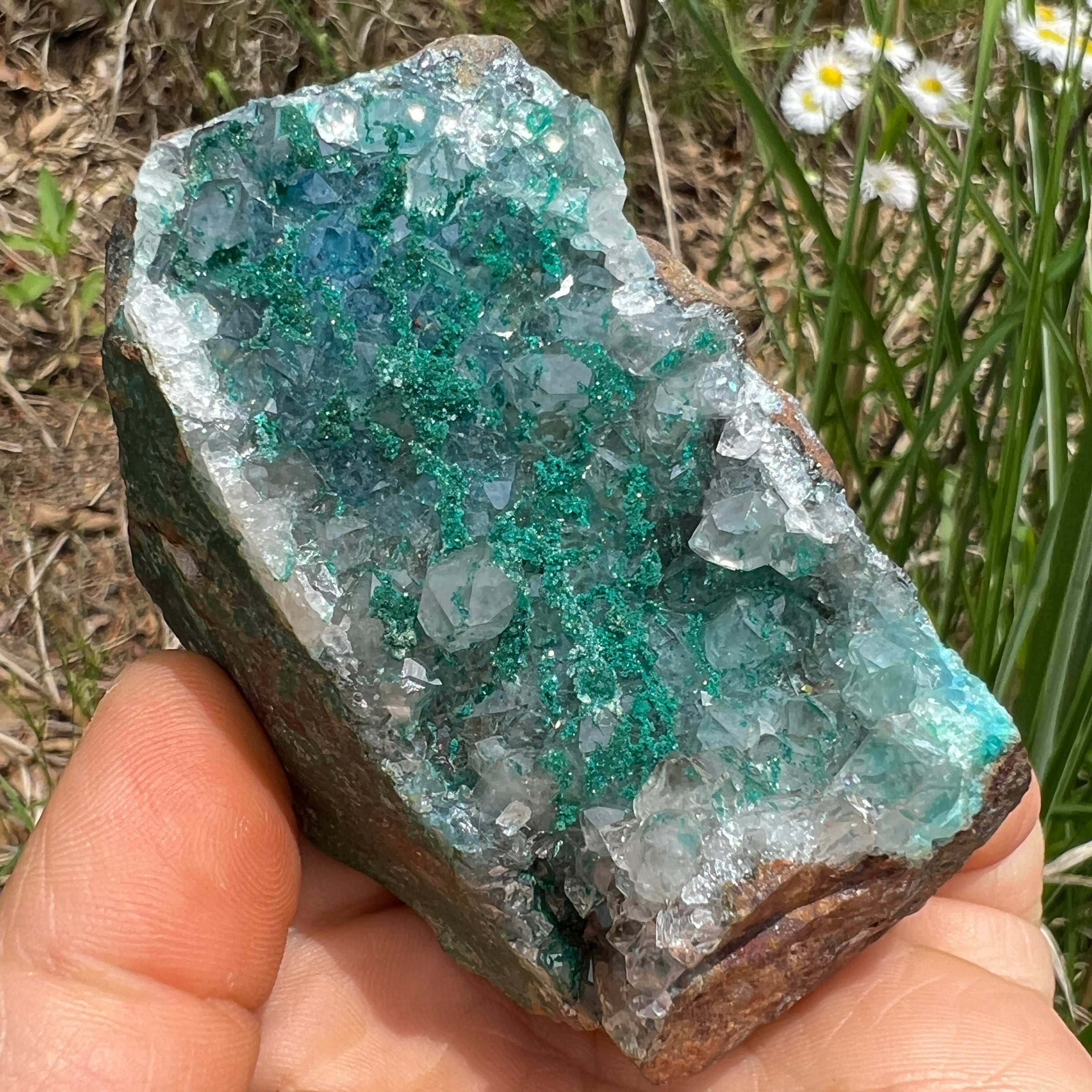 Dioptase Crystal - 018