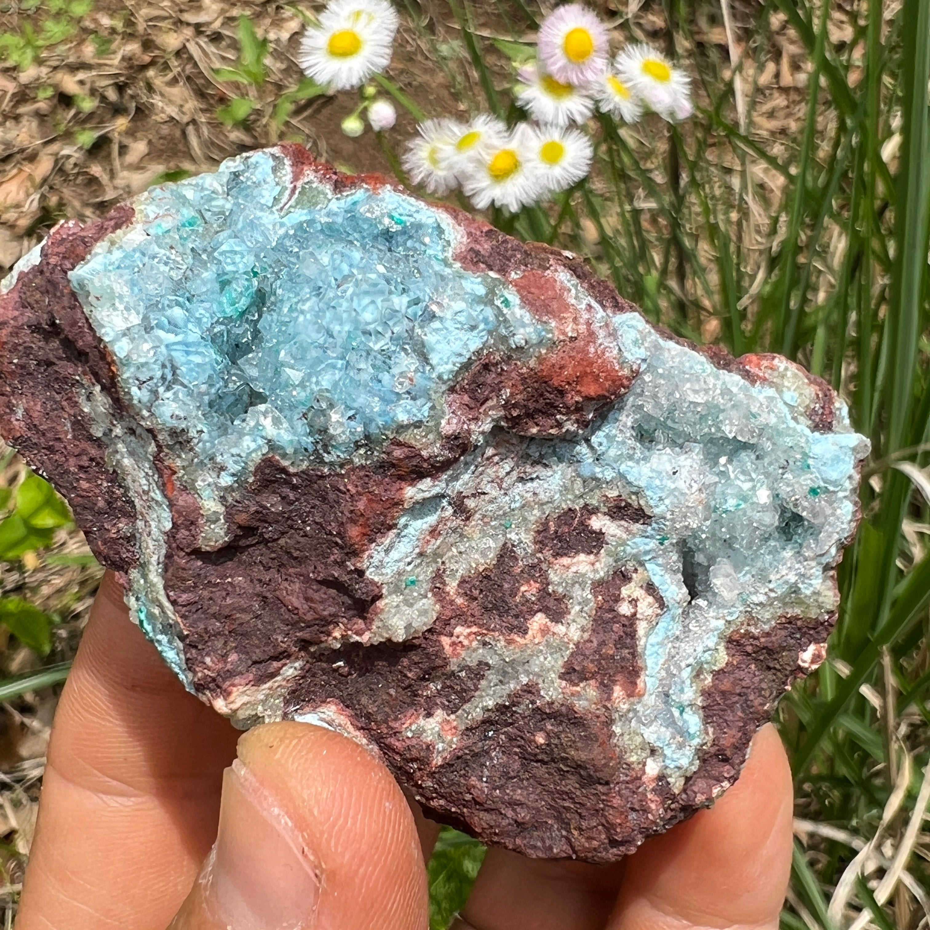 Dioptase Crystal - 020